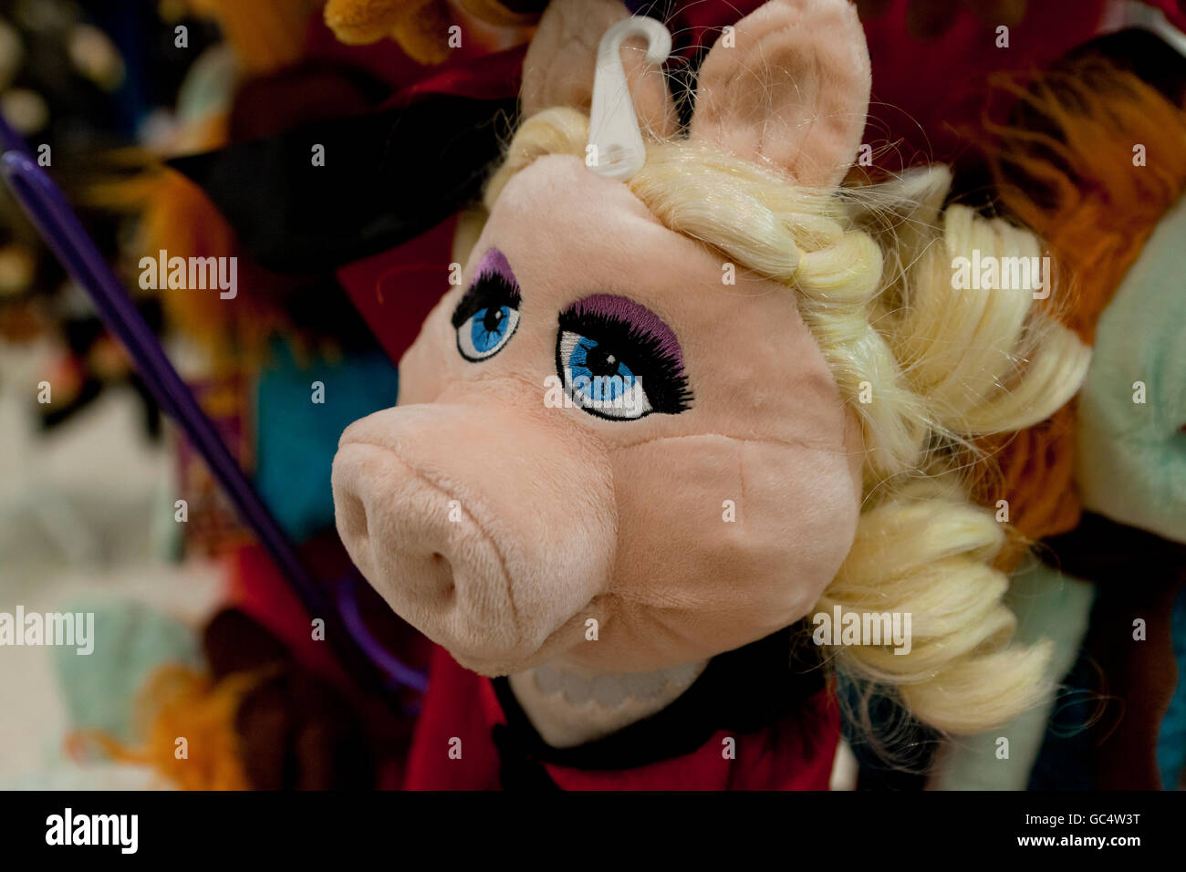Miss Piggy Handpuppe im Spielzeugladen - USA Stockfoto