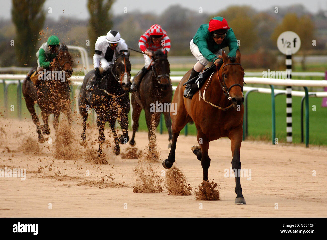 Pferderennen - Southwell Racecourse Stockfoto