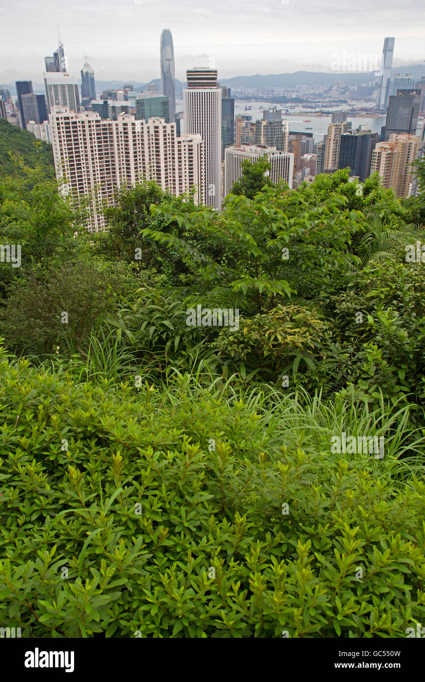 Blick auf Hong Kong von den Hängen des Victoria Peak Stockfoto