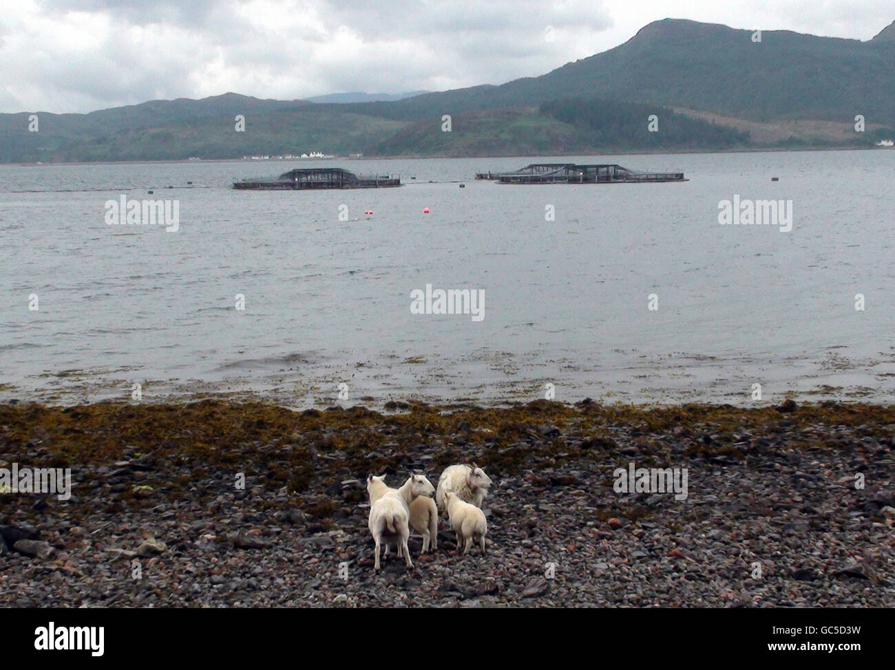 Scotland Views - Ross-Shire. Strand in Ross-Shire Schottland. Stockfoto