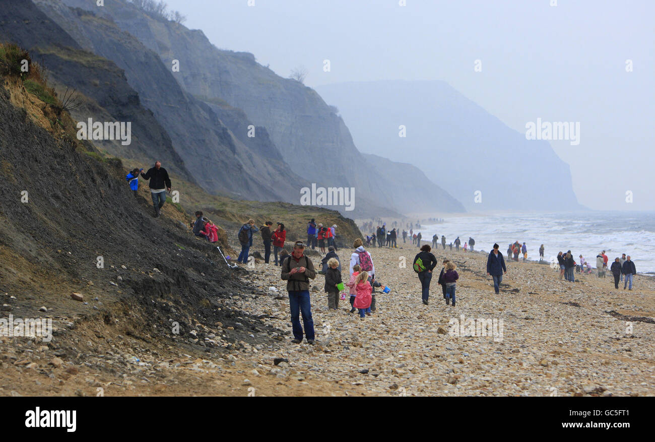 Spazieren Sie durch die Zeit der Trias, des Juras und der Kreidezeit. Regen verursacht Erdrutsche, so dass die Felswand die Schätze darunter enthüllen kann. Stockfoto