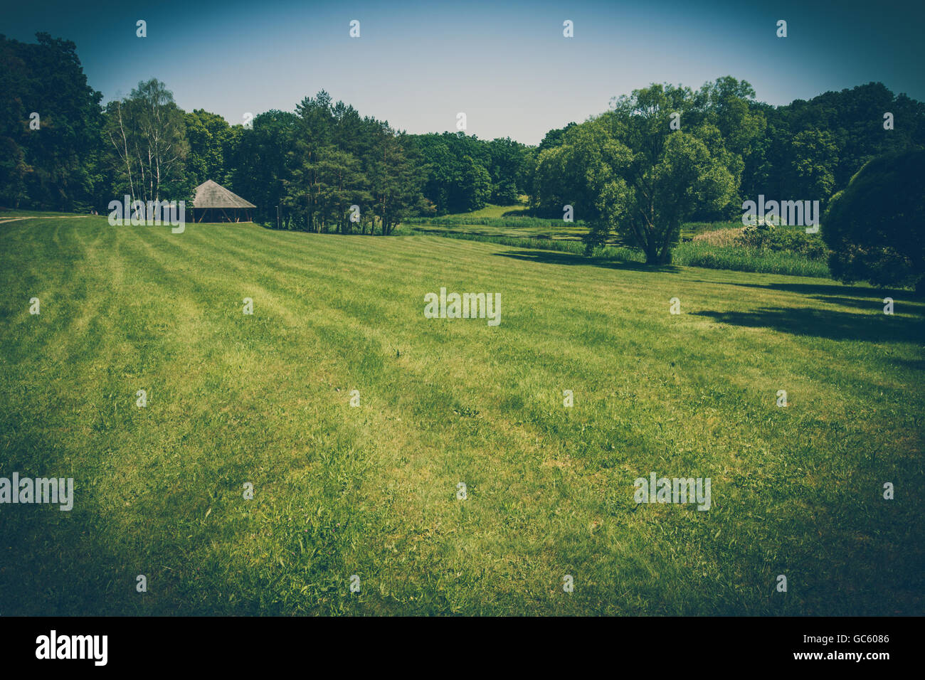 Leeres Feld Gras mit Bäumen und strohgedeckte Hütte am Horizont. Retro-stilisierte Foto. Stockfoto