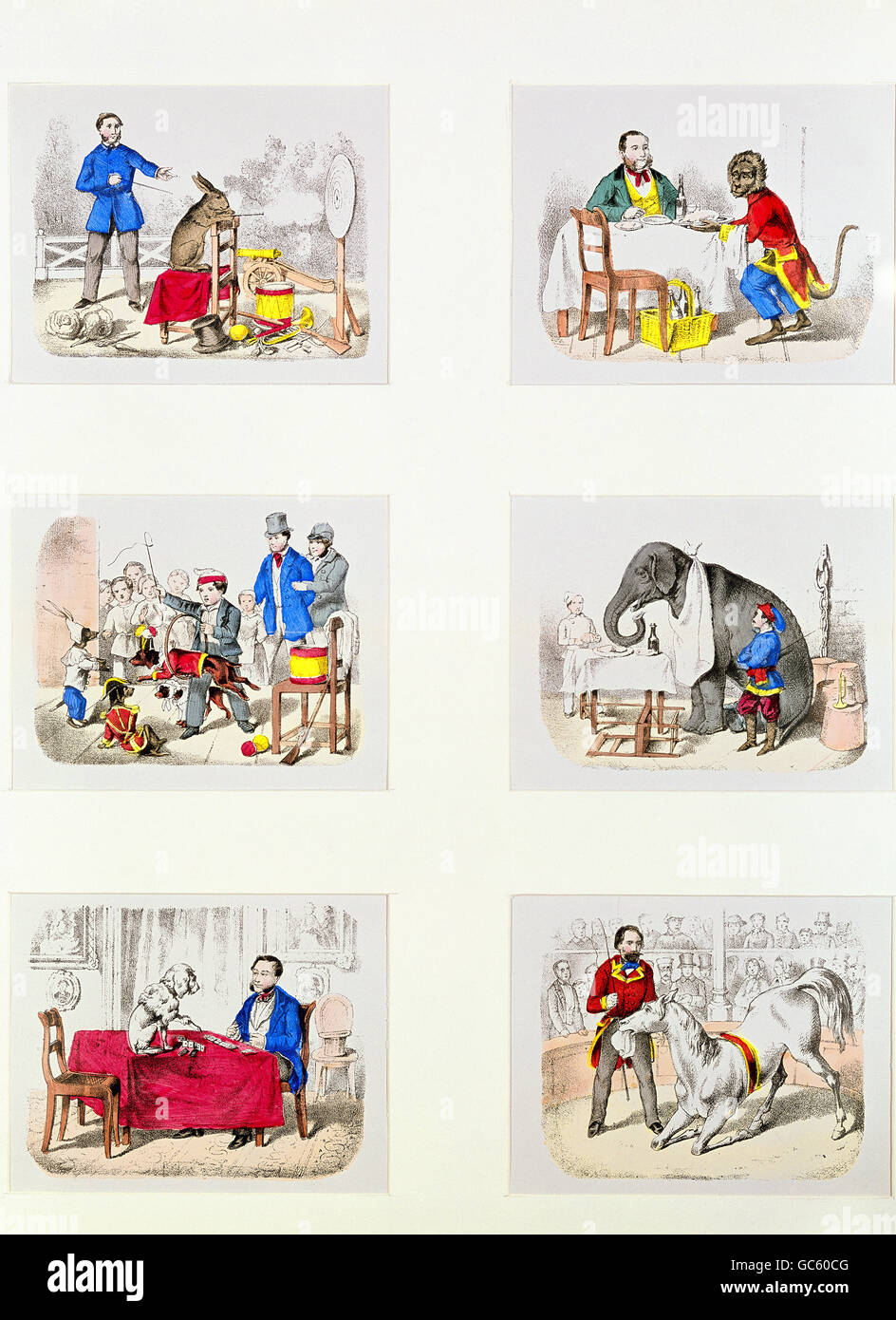zirkus, Dressur, 'Lehrbare Tiere', Bildblattbogen, farbige Lithographie, wohl Winckelmann und Söhne, Berlin, Deutschland, um 1840, Privatsammlung, Zusatzrechte-Clearences-nicht vorhanden Stockfoto