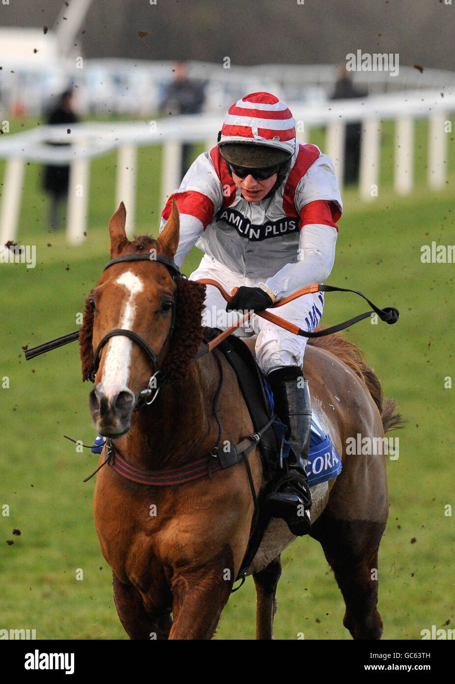 Racing - Korallen Welsh National - Chepstow Rennbahn Stockfoto