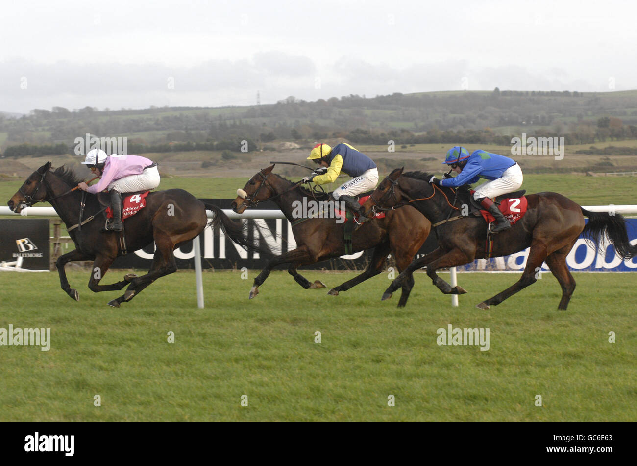 Pferderennen Sie - Maplewood Tag - Punchestown Racecourse Stockfoto