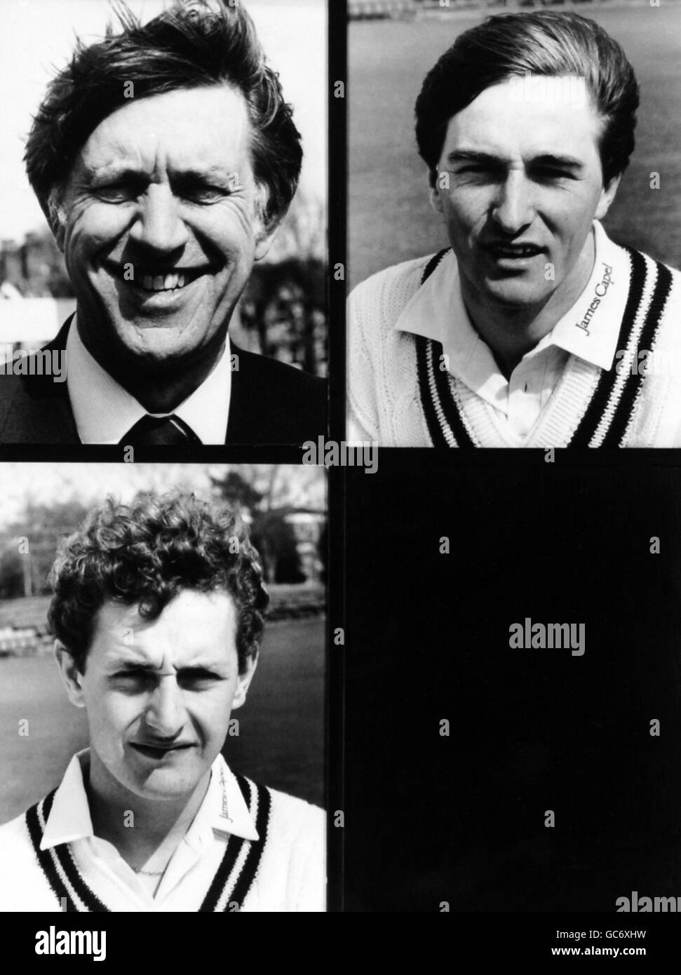 Cricket-Porträts Stockfoto