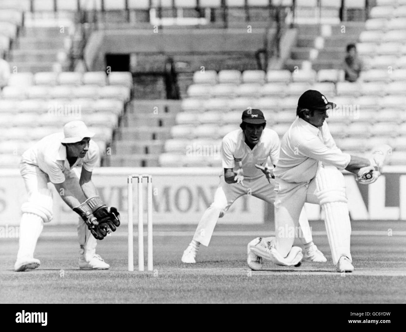 Cricket - Schweppes County Championship 1981 - Surrey V Leicestershire - The Kennington Oval Stockfoto