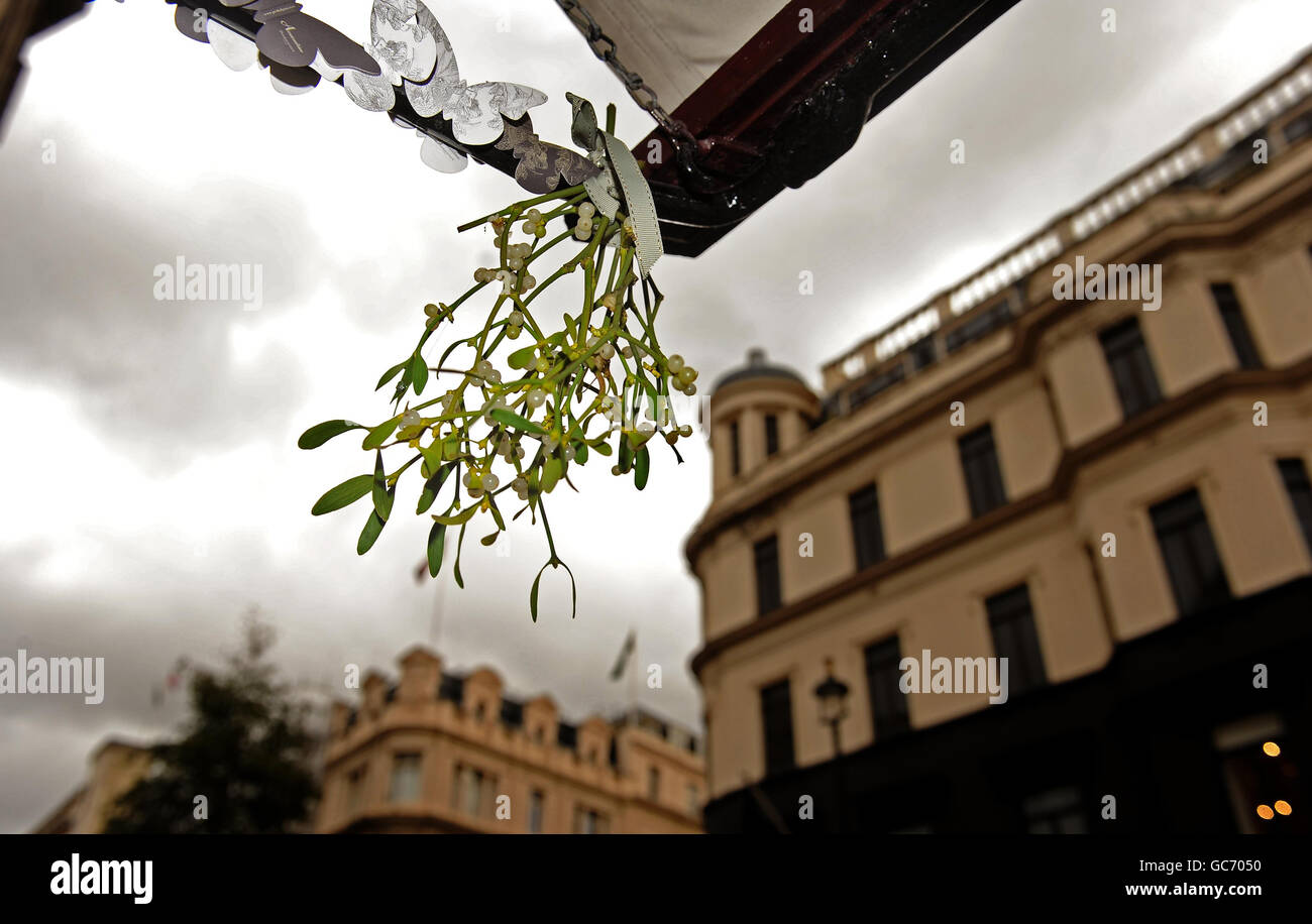 Mistelzweig hängt vor Penhaligon's Parfumers in der Brook Street, London. Stockfoto