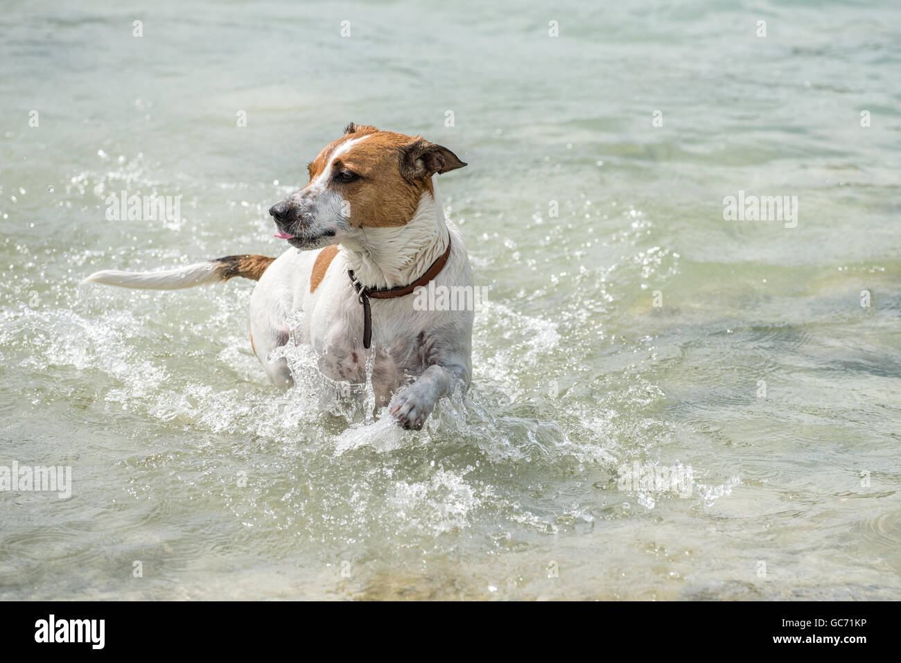 Danisch Schwedisch Stockfotos Danisch Schwedisch Bilder Alamy