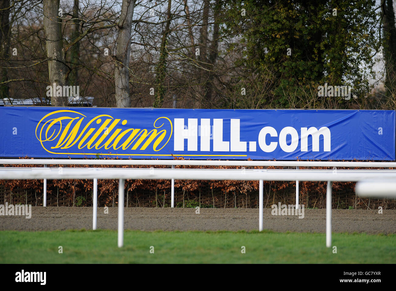 Pferderennen Sie-William Hill Winter Festival 2009 - Tag eins - Kempton Park Rennbahn Stockfoto