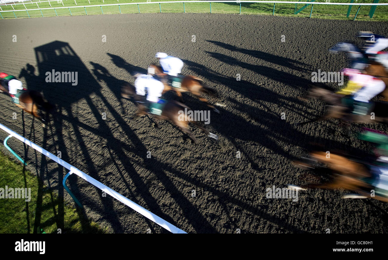 Pferderennen - Lingfield Rennbahn Stockfoto