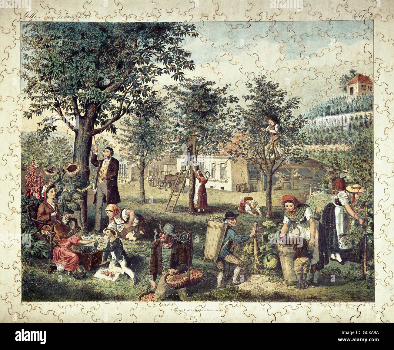 Spiel, Puzzle, 'Obsternte und Jahrgang', Farblithographie von F.M.Strassberg, Braunschweig, um 1875/1880, Stadtmuseum München, zusätzliche-Rechte-Clearenzen-nicht verfügbar Stockfoto