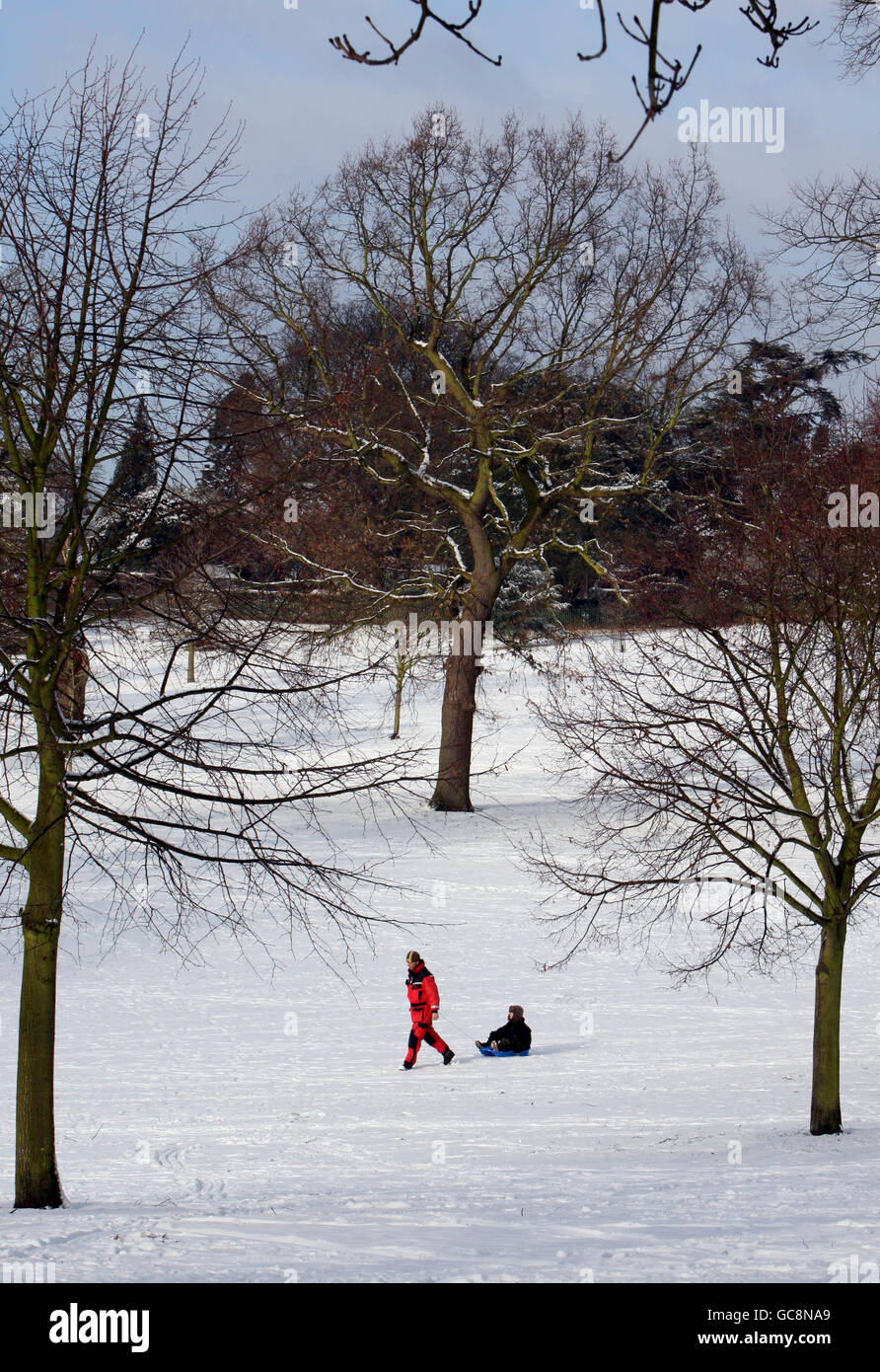 Ein Mann zieht ein Kind auf einem Schlitten über einen schneebedeckten Christchurch Park im Zentrum von Ipswich, Suffolk. Stockfoto