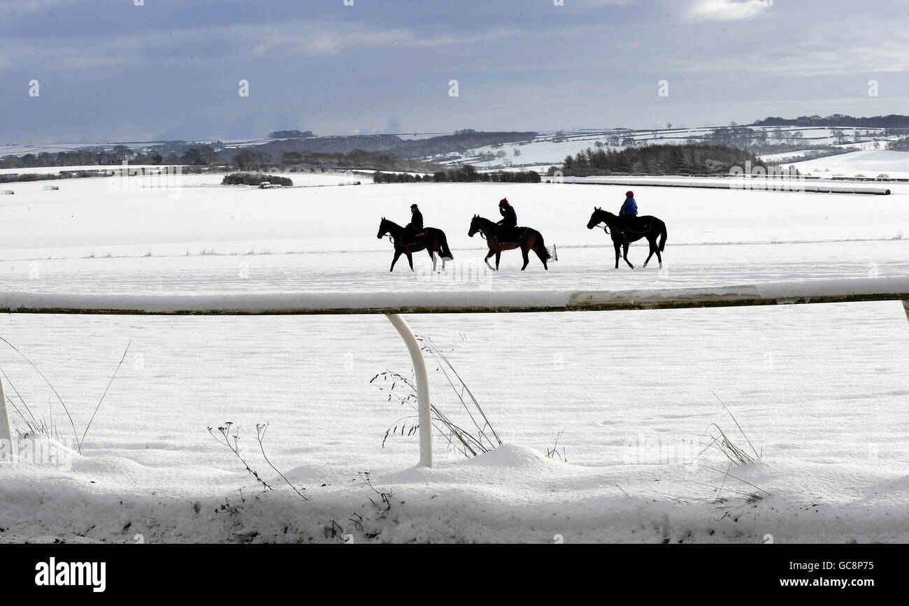 Pferderennen - Schnee bedeckte Galoppaden an Malton Stockfoto