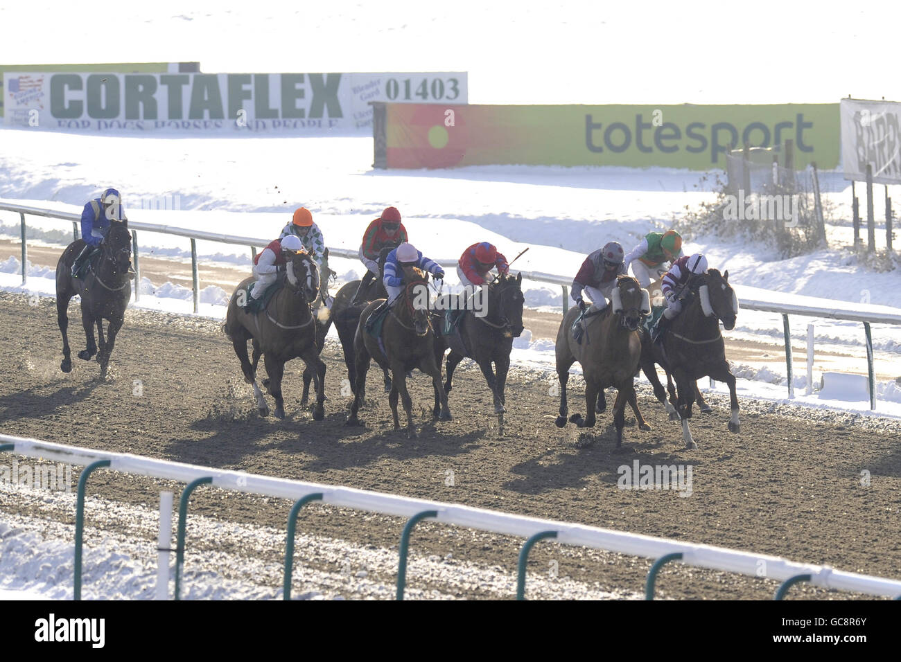 Läufer und Reiter während der Wette Live in Play bei totesport.com Quebec Stakes Stockfoto
