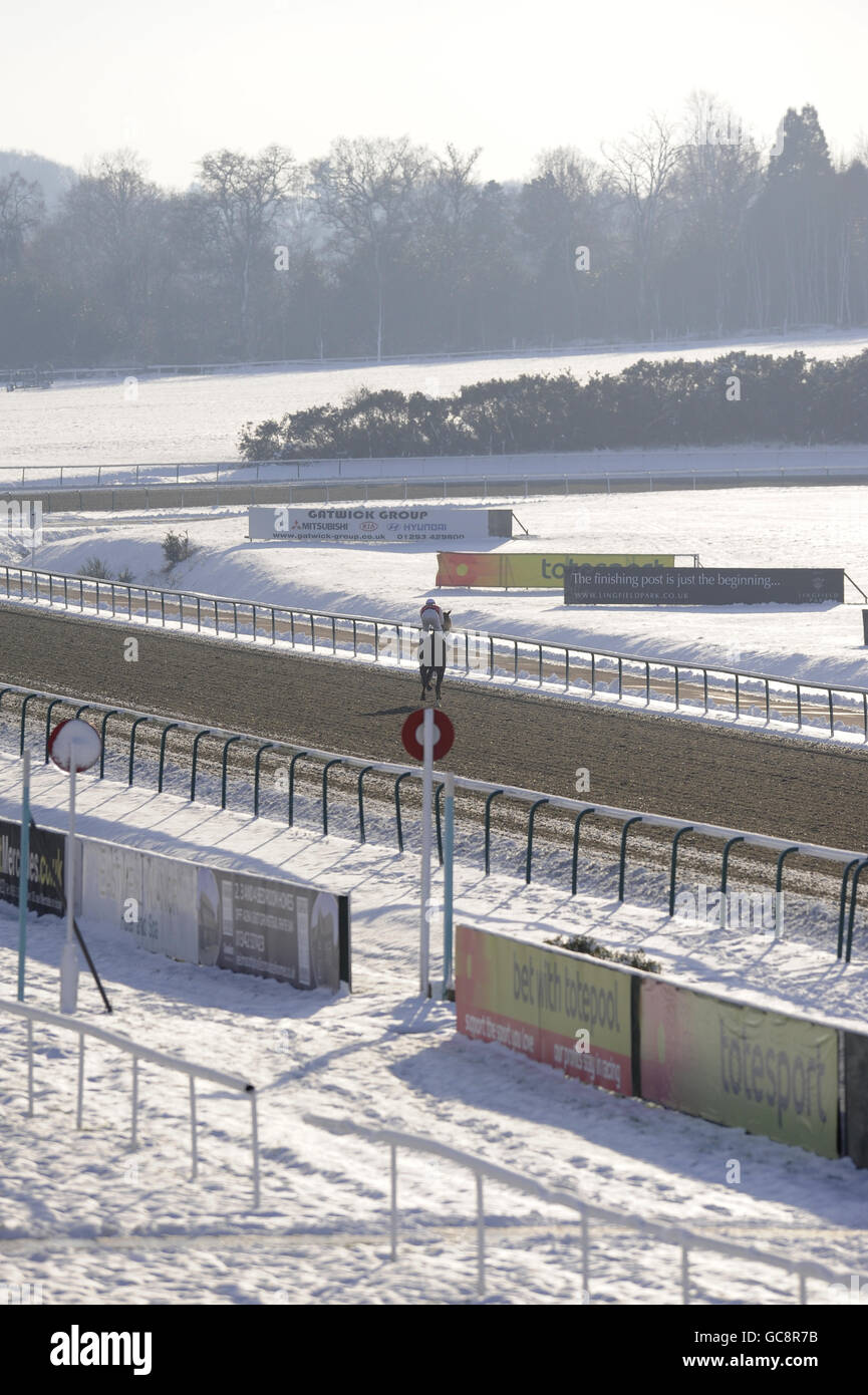 Pferderennen - Rennbahn Lingfield. Eine allgemeine Ansicht des Schnees auf der Rennbahn von Lingfield Stockfoto