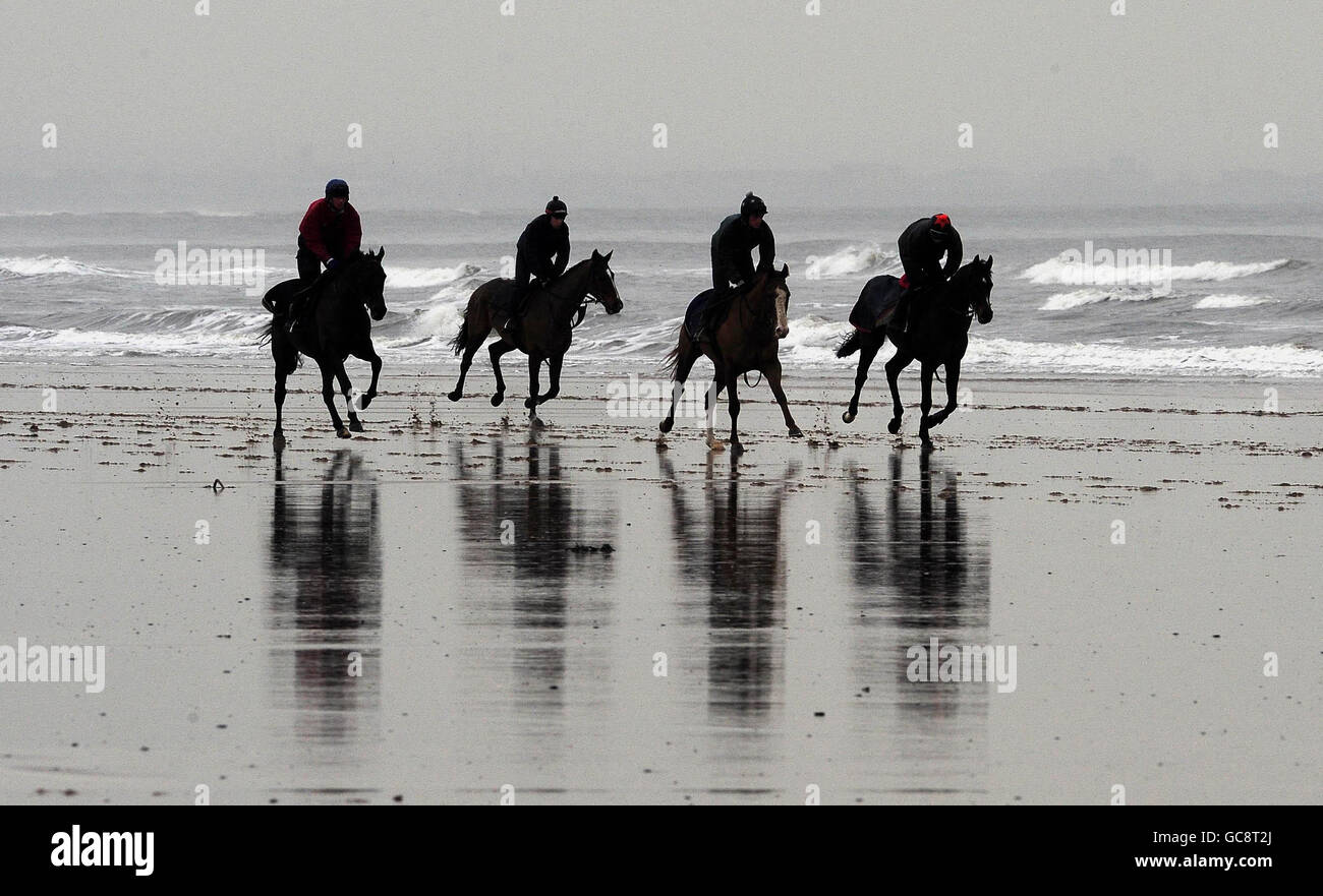 Pferderennen - Redcar Strand Galoppaden Stockfoto