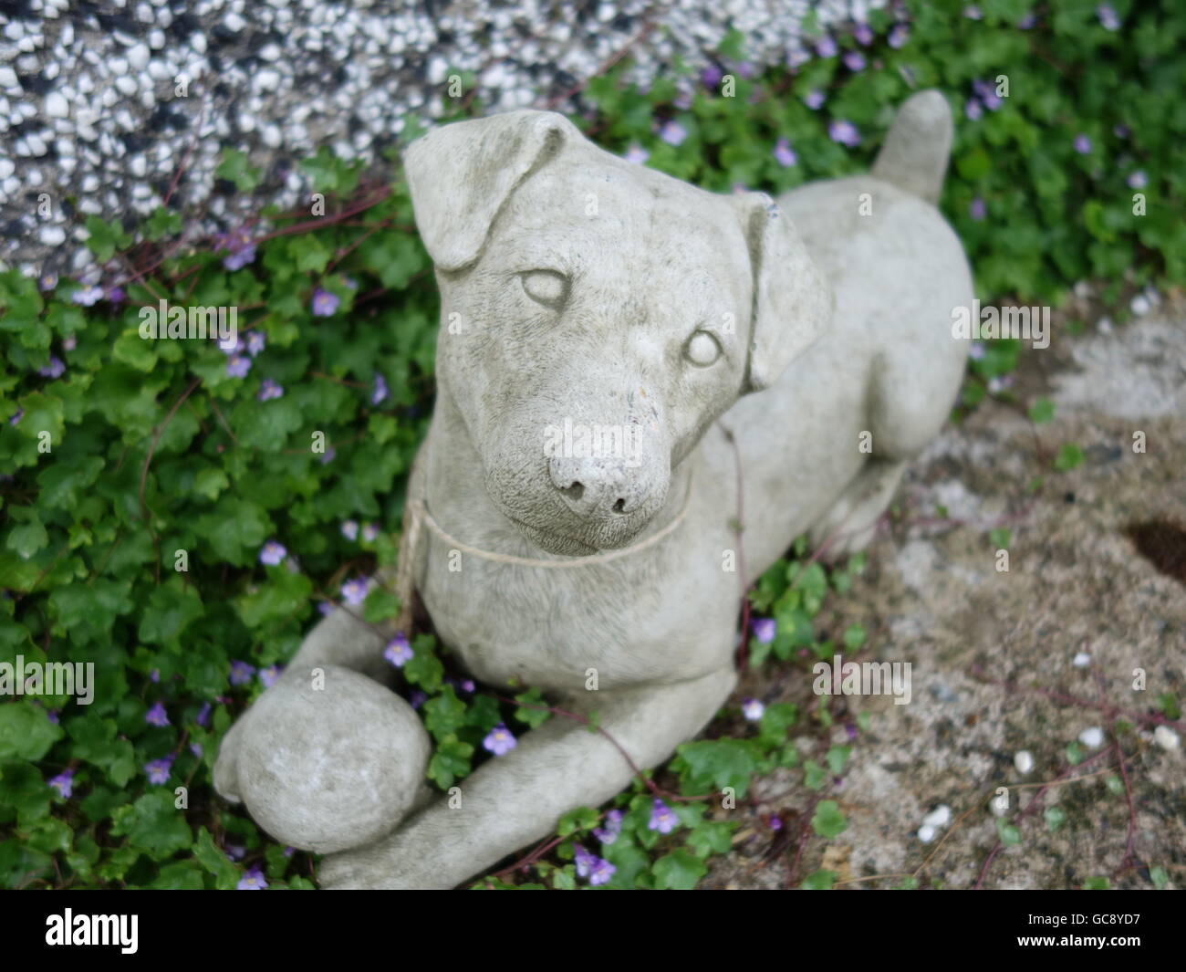 Eine steinerne Hund Skulptur Stockfoto