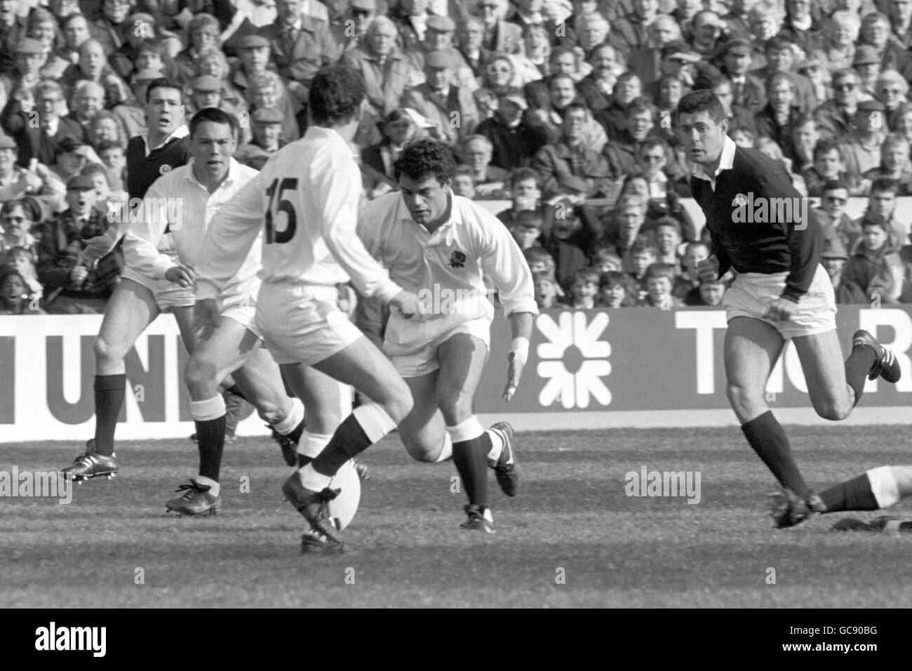 Der englische will Carling versucht, den Ball unter dem Druck des schottischen Gavin Hastings (r) zu gewinnen. Englands Rory Underwood (l) wacht auf. Stockfoto