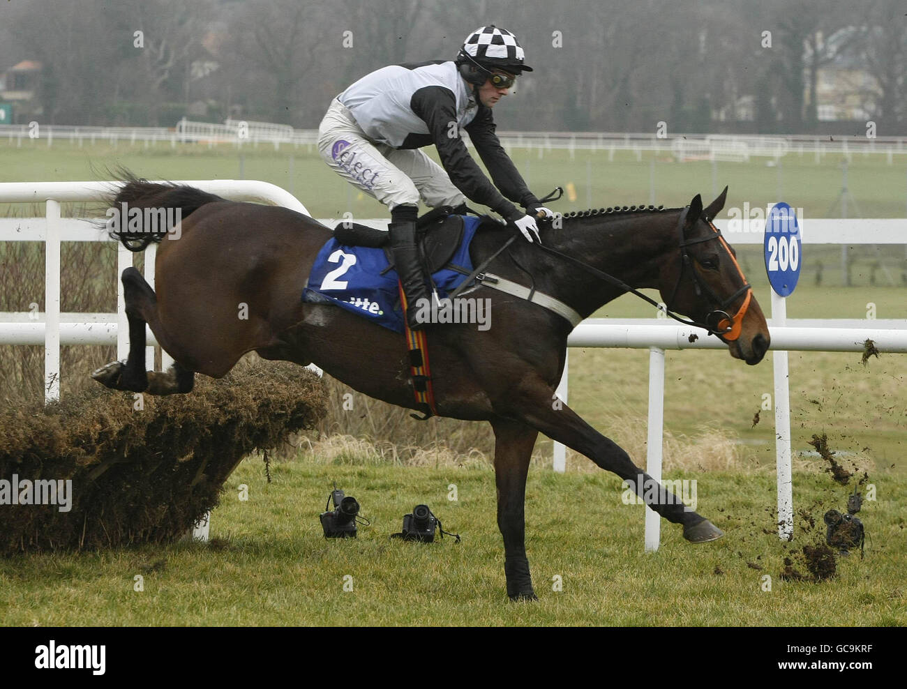 Horse Racing - Hennessy Gold Cup - Leopardstown Racecourse Stockfoto