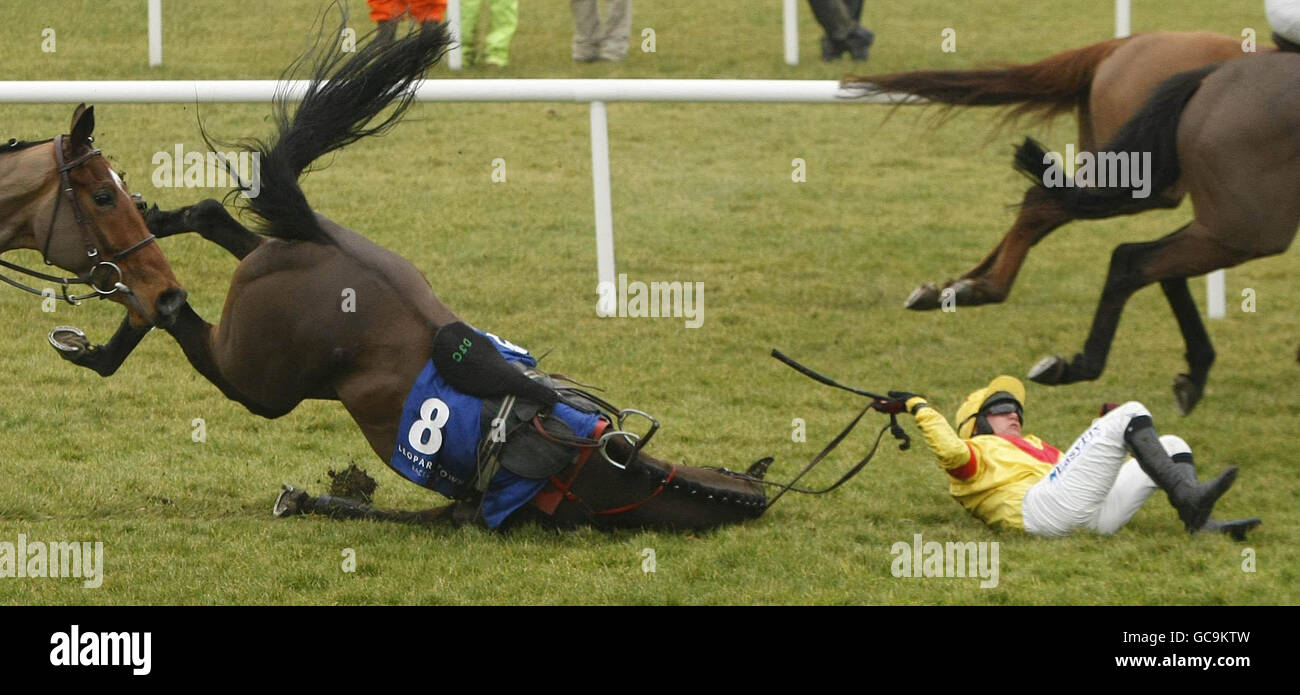 Horse Racing - Hennessy Gold Cup - Leopardstown Racecourse Stockfoto