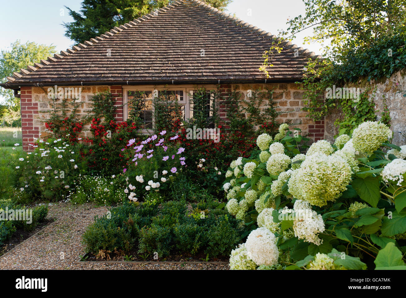 Außenfassade des englischen Landhaus mit Box Hecken- und Hortensien Stockfoto