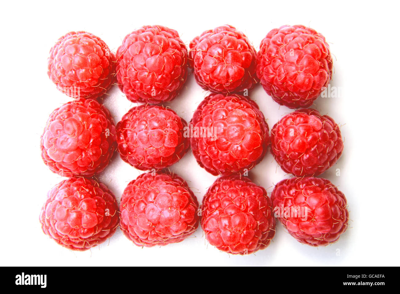 Nahaufnahme einer Reihe von roten Himbeeren Stockfoto