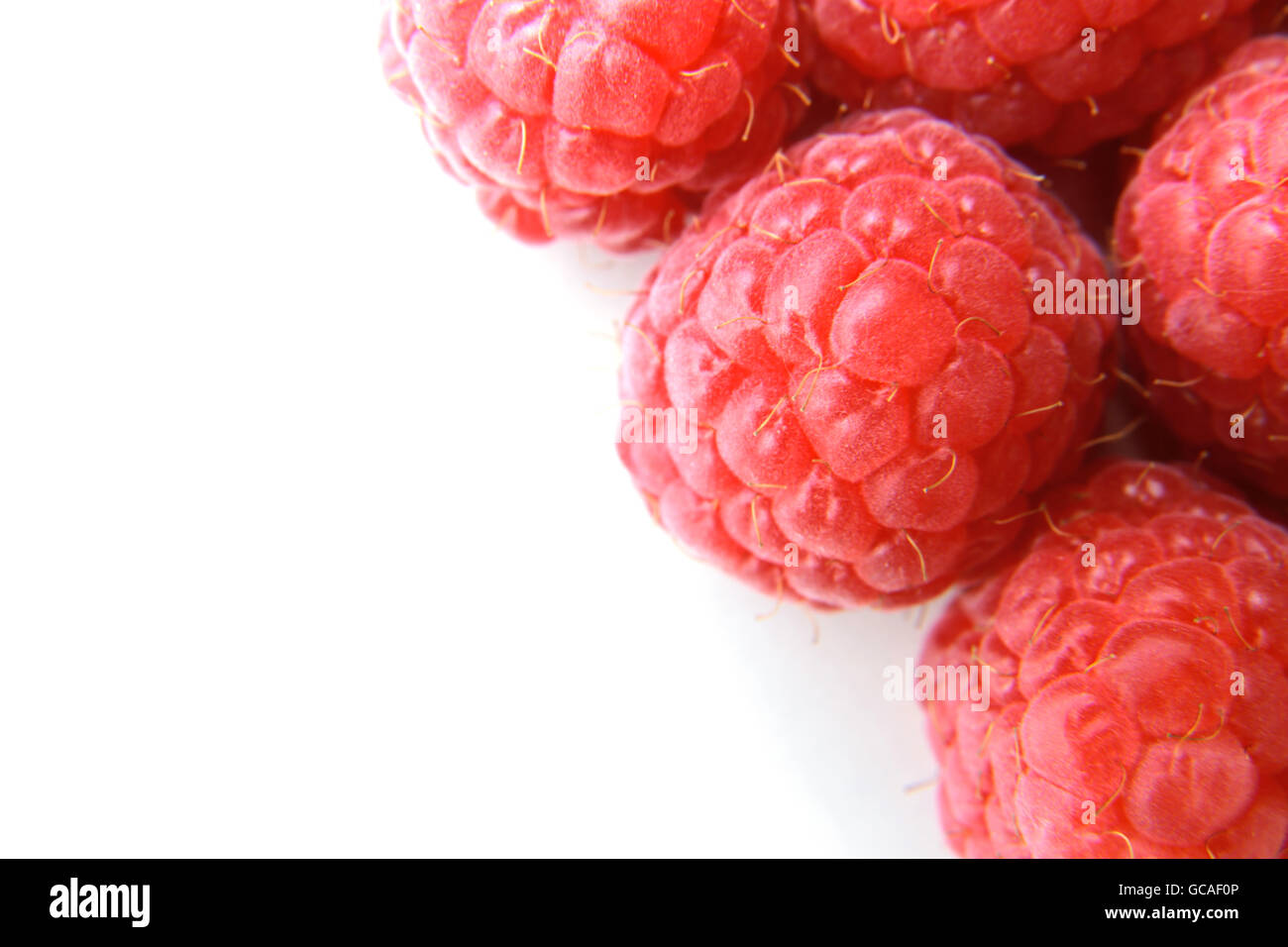 Nahaufnahme einer Reihe von roten Himbeeren Stockfoto