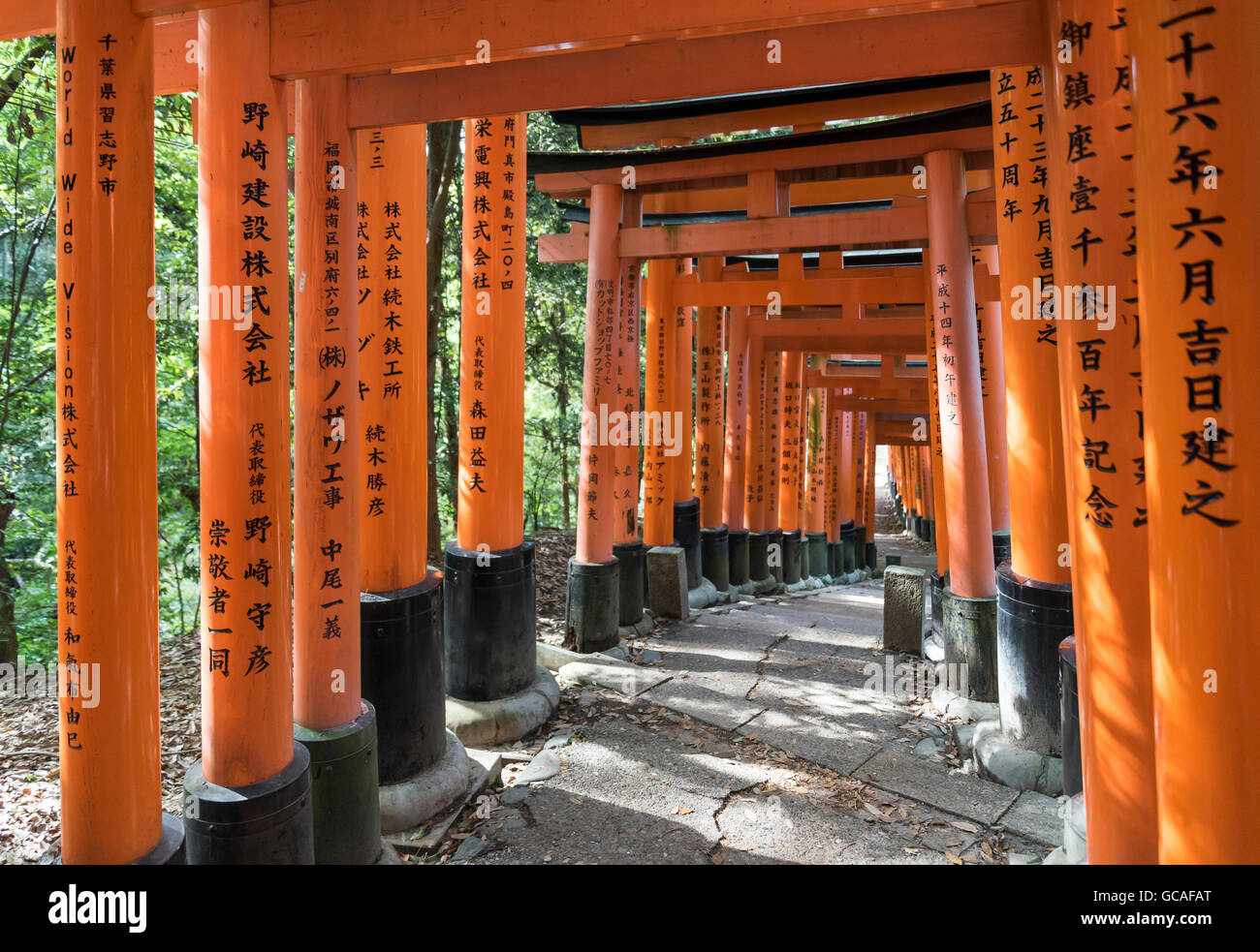 Pfad, gesäumt von Torii-Tore am Fushimi Inari-Taisha Schrein, Kyoto, Japan Stockfoto