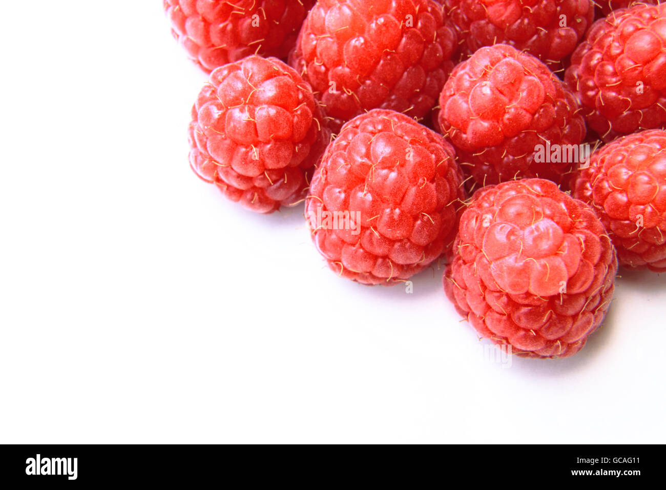 Nahaufnahme einer Reihe von roten Himbeeren Stockfoto