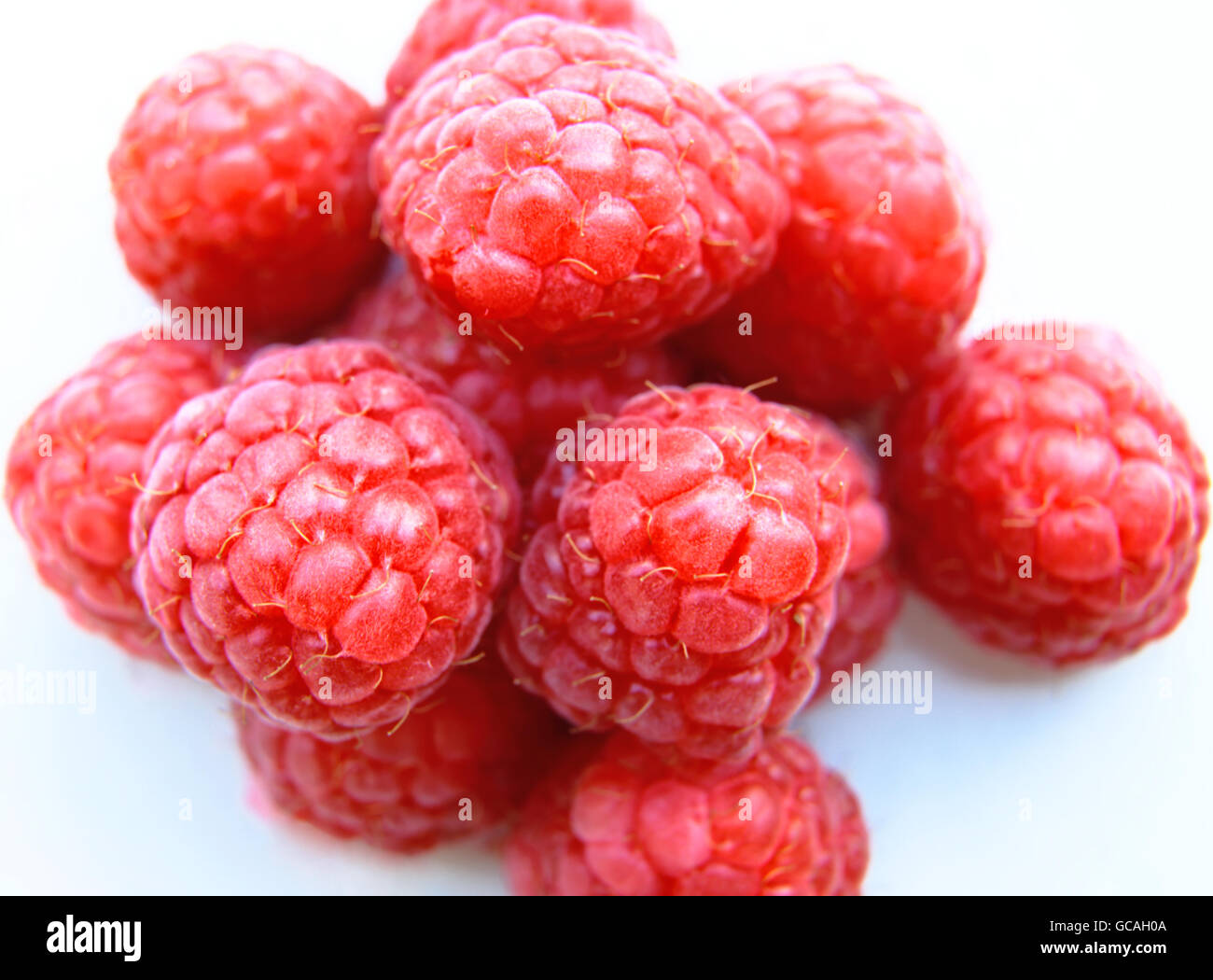 Nahaufnahme einer Reihe von roten Himbeeren Stockfoto