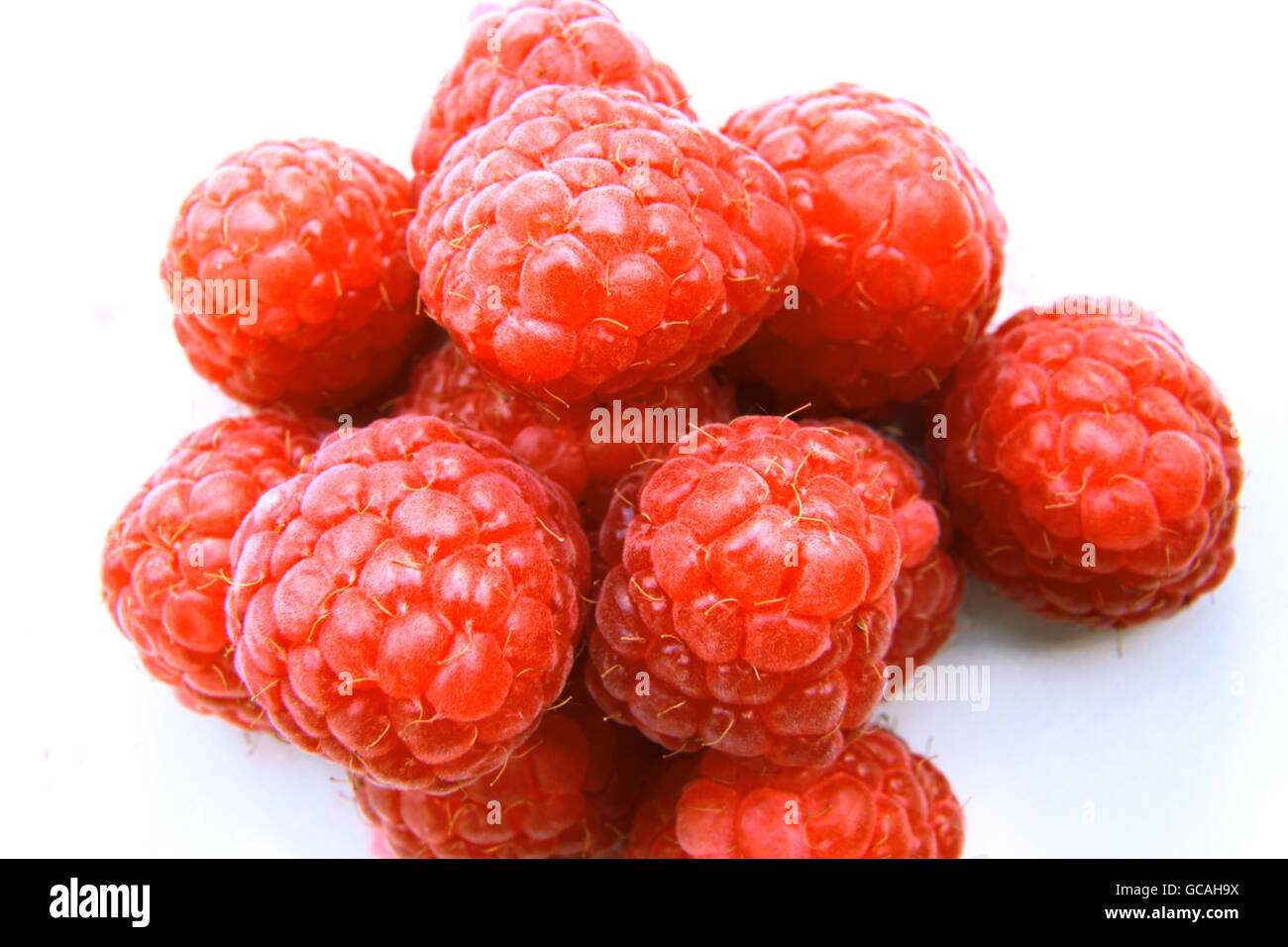 Nahaufnahme einer Reihe von roten Himbeeren Stockfoto