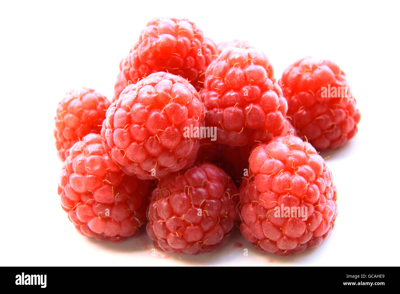 Nahaufnahme einer Reihe von roten Himbeeren Stockfoto