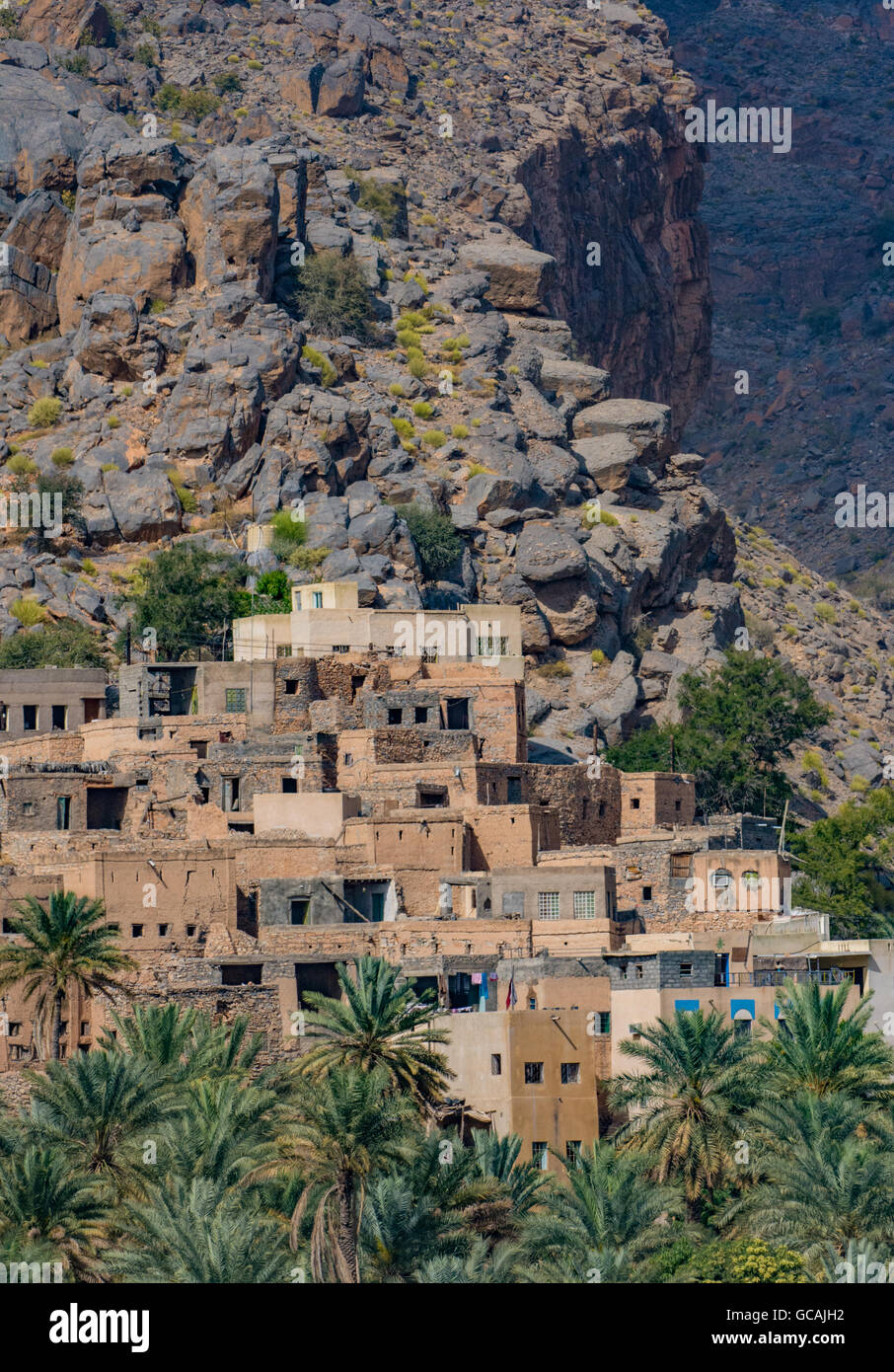Berg Dorf von Misfat Al Abriyeen, an den Wänden von einer tiefen Schlucht thront. Sultanat von Oman Stockfoto