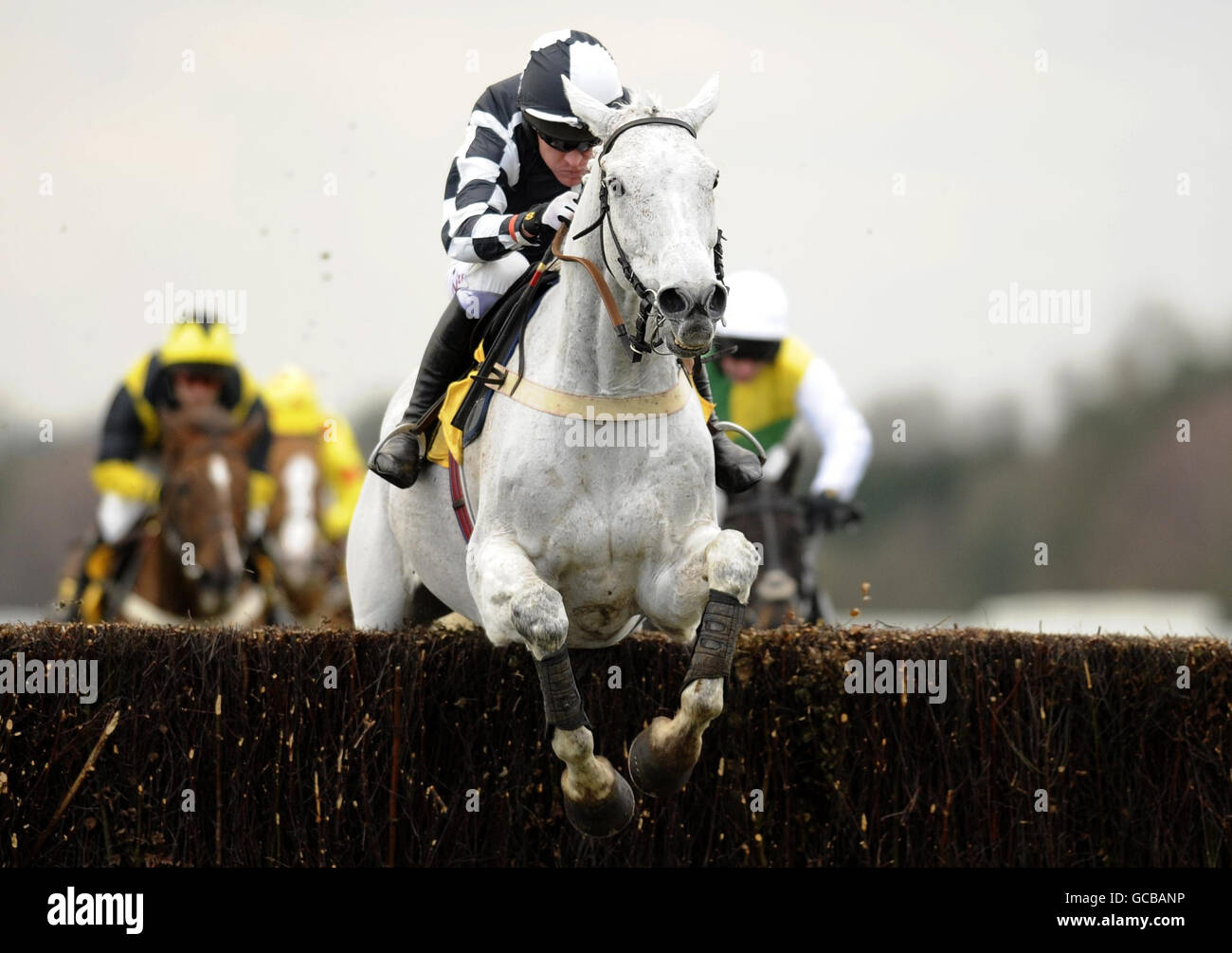 Monet's Garden und Barry Geraghty führen über die letzten und gewinnen die Betfair Ascot Steeple Chase während des Betfair Ascot Chase Day auf der Ascot Racecourse, Berkshire. Stockfoto