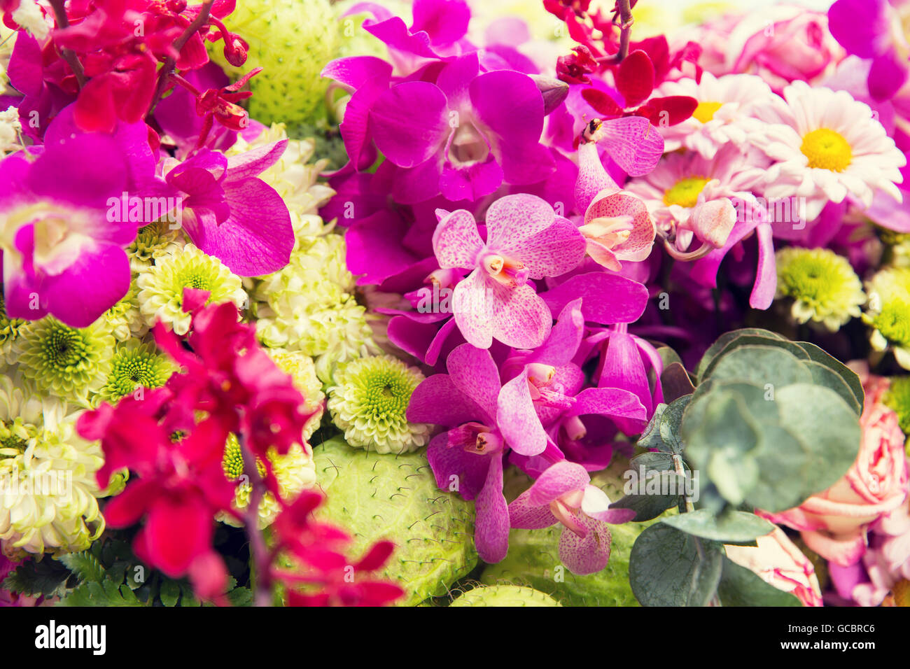 schöne Blumen-Dekoration Stockfoto