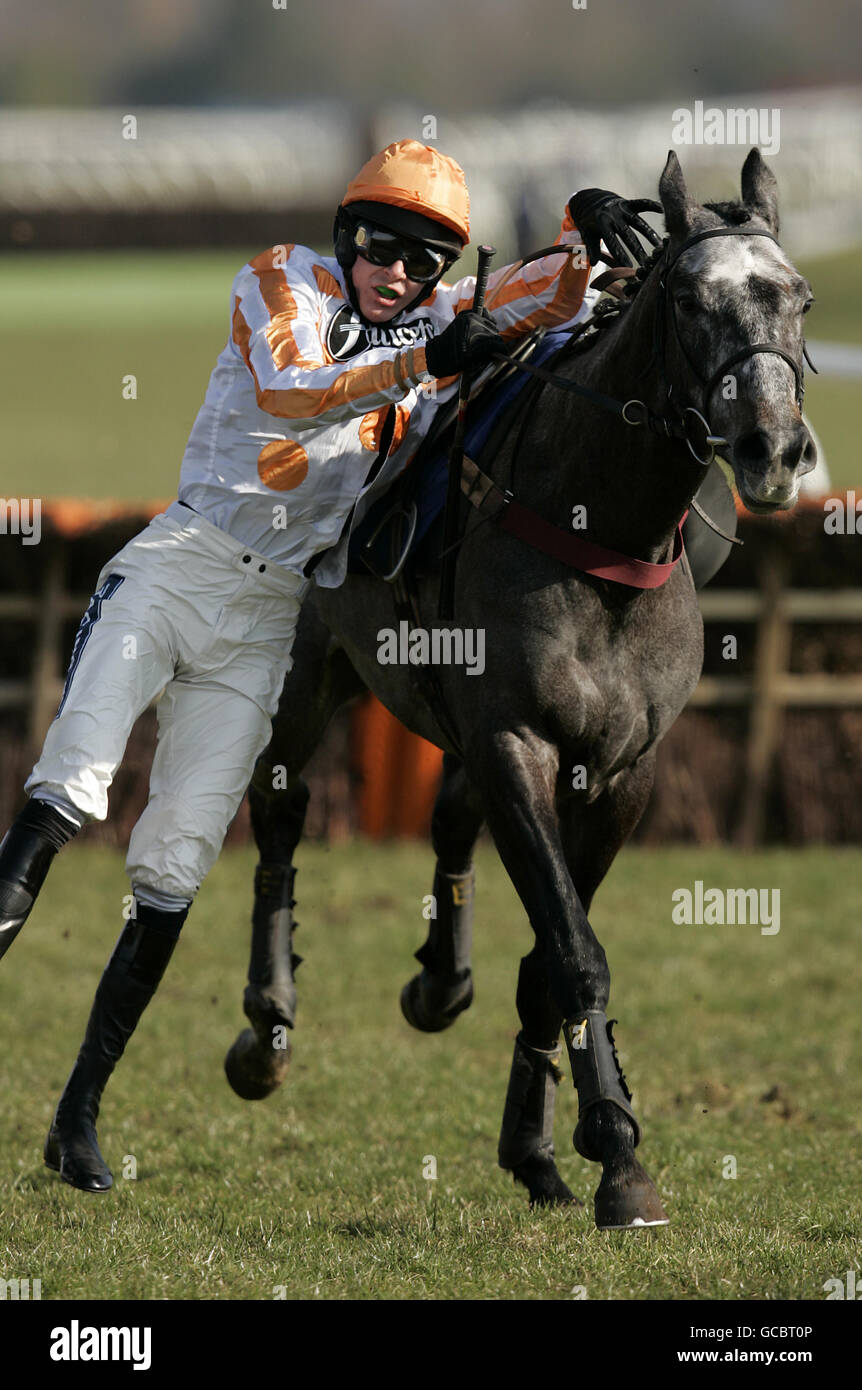 Pferd - West Berkshire Mencap Regattatag - Newbury Racecourse Stockfoto