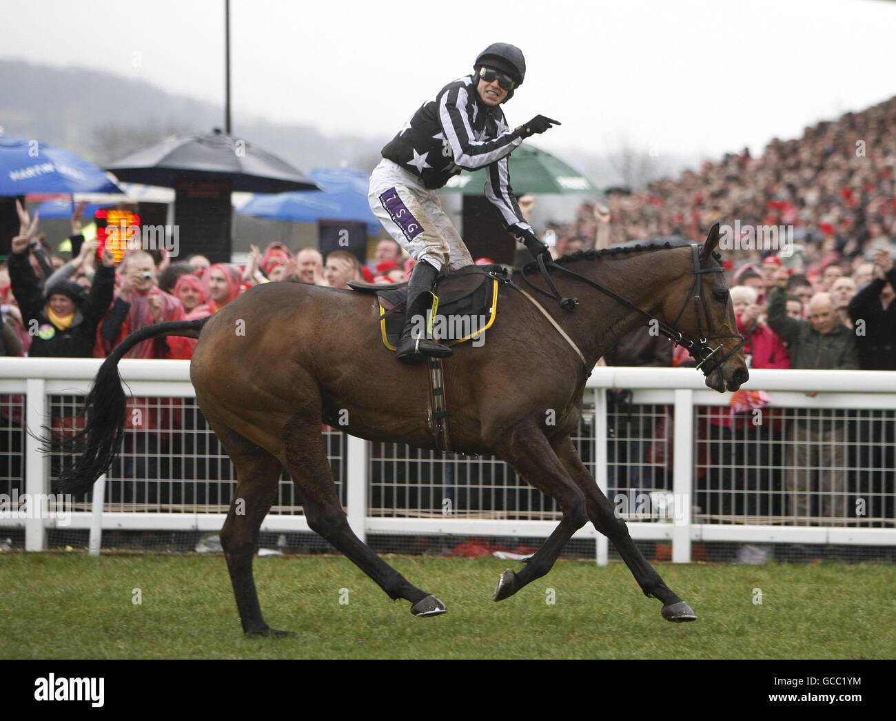 Jockey Paddy Brennan feiert, wie er zeigt auf Imperial Commander nach dem Gewinn des Totesport Cheltenham Gold Cup am vierten Tag des Cheltenham Festival 2010 auf Cheltenham Rennbahn. Stockfoto