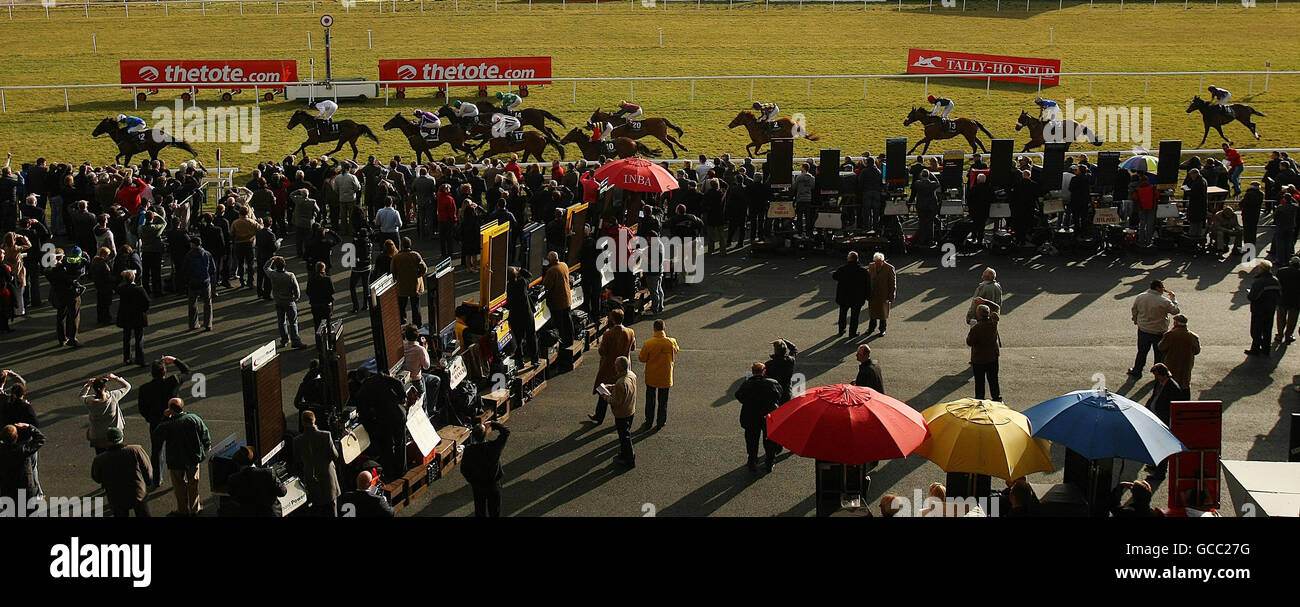 Pferderennen Sie - Lodge Park Stud Park Express Tag - Einsätze Curragh Rennbahn Stockfoto