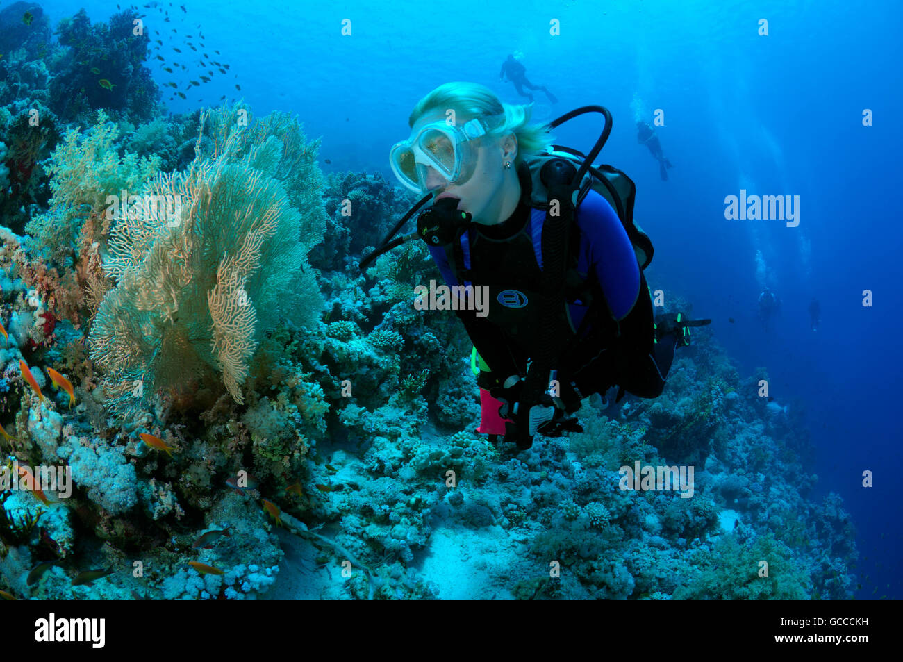 Rotes Meer, Ägypten, Ägypten. 3. März 2016. Männlichen Taucher, Blick auf die Plumbings auf dem Wrack Yolanda, Shark Yolanda Riff, Ras Mohammed Nationalpark, Sinai, Sharm el-Sheikh, Rotes Meer, Ägypten, Afrika © Andrey Nekrassow/ZUMA Wire/ZUMAPRESS.com/Alamy Live-Nachrichten Stockfoto