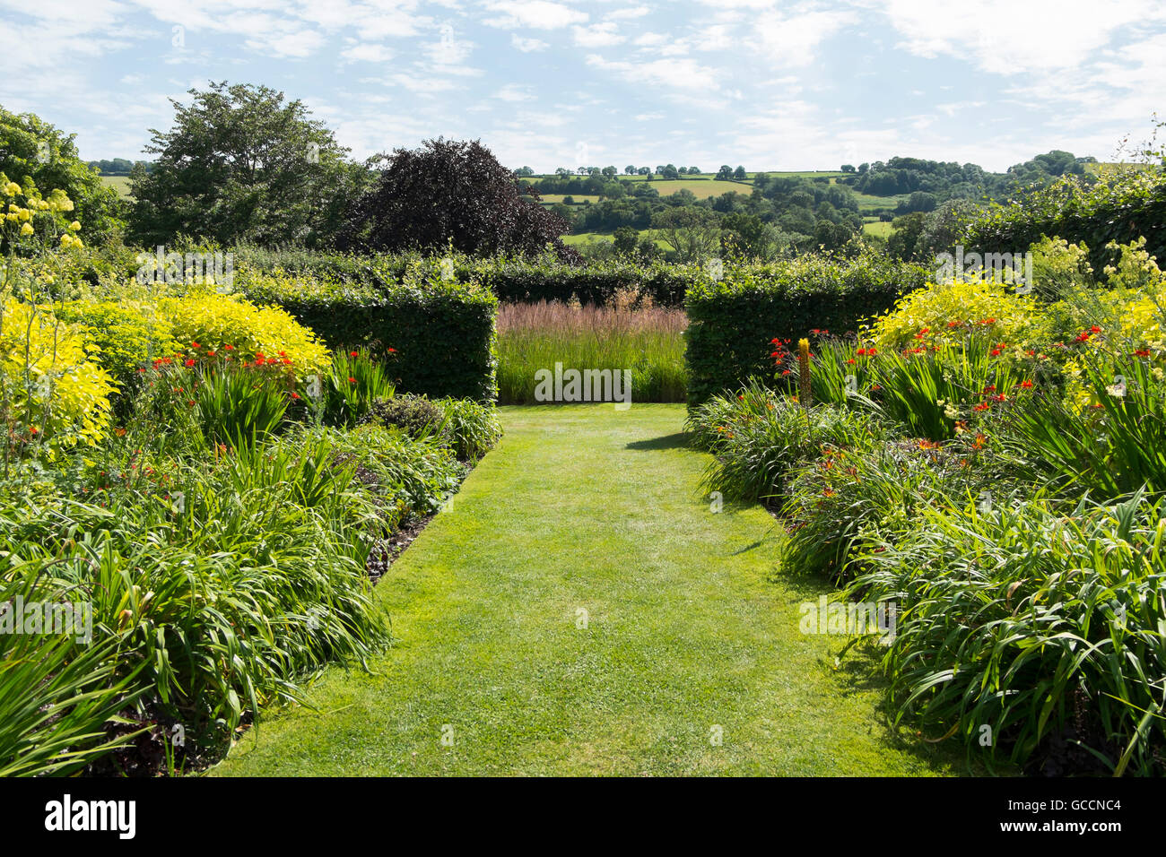 Die roten und Kalk Betten am Yeo Valley Bio-Garten, Holt Farm, Blagdon, North Somerset, UK Stockfoto