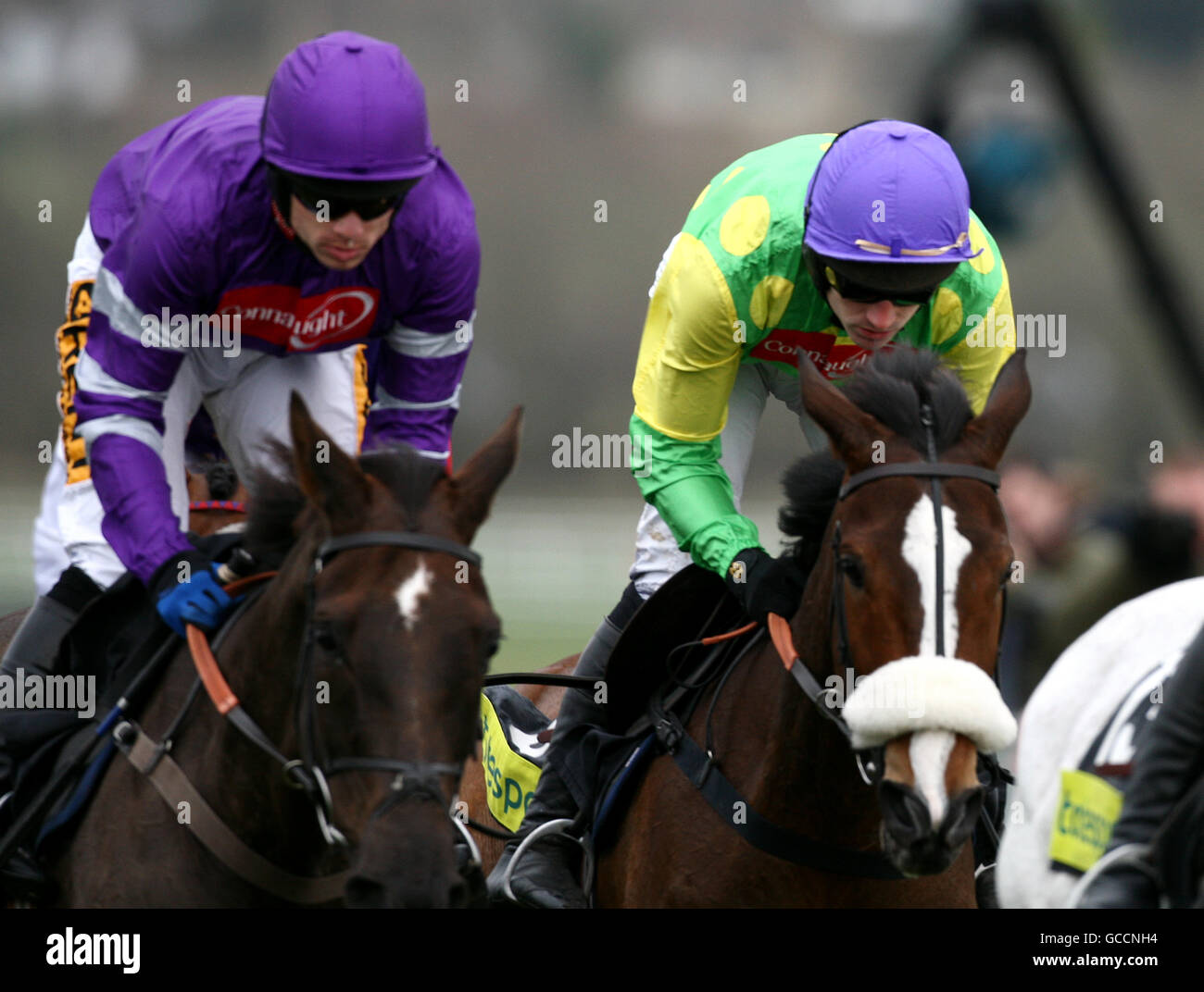 Denman von Sam Thomas (l) und Kauto Star gefahren Von Ruby Walsh während der Totesport Cheltenham Gold Cup Chase Stockfoto