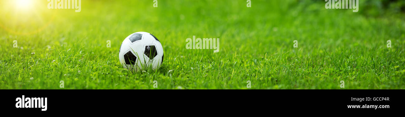 Schwarz und weiß-Ball liegend auf dem grünen Rasen Stockfoto