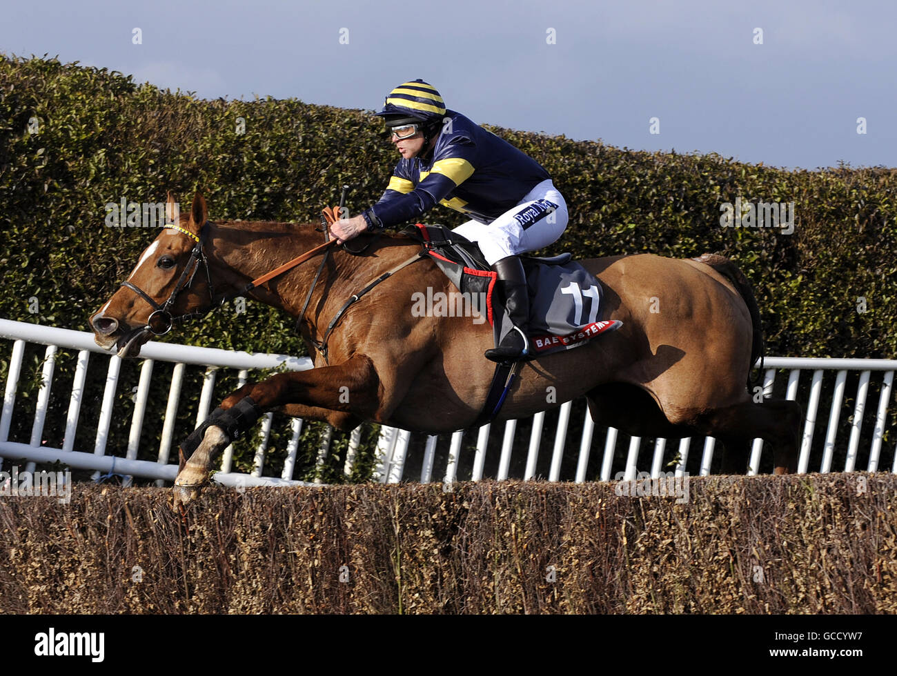 Irish Stream von S. Beveridge während der Grand Military Gold Cup Chase geritten Stockfoto