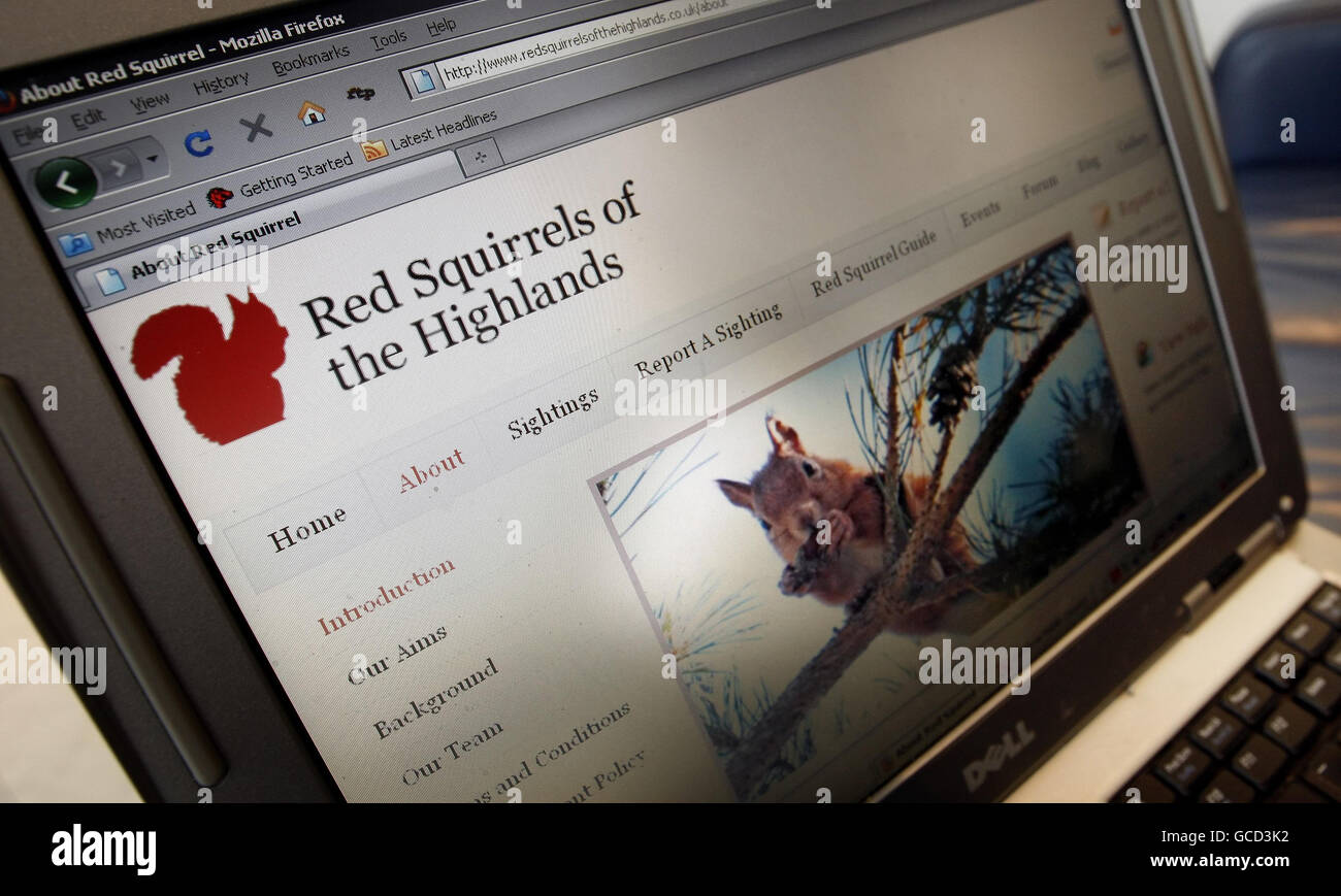 Foto einer Seite von der, Red Squirrels of the Highlands Website, die heute veröffentlicht wurde. Stockfoto