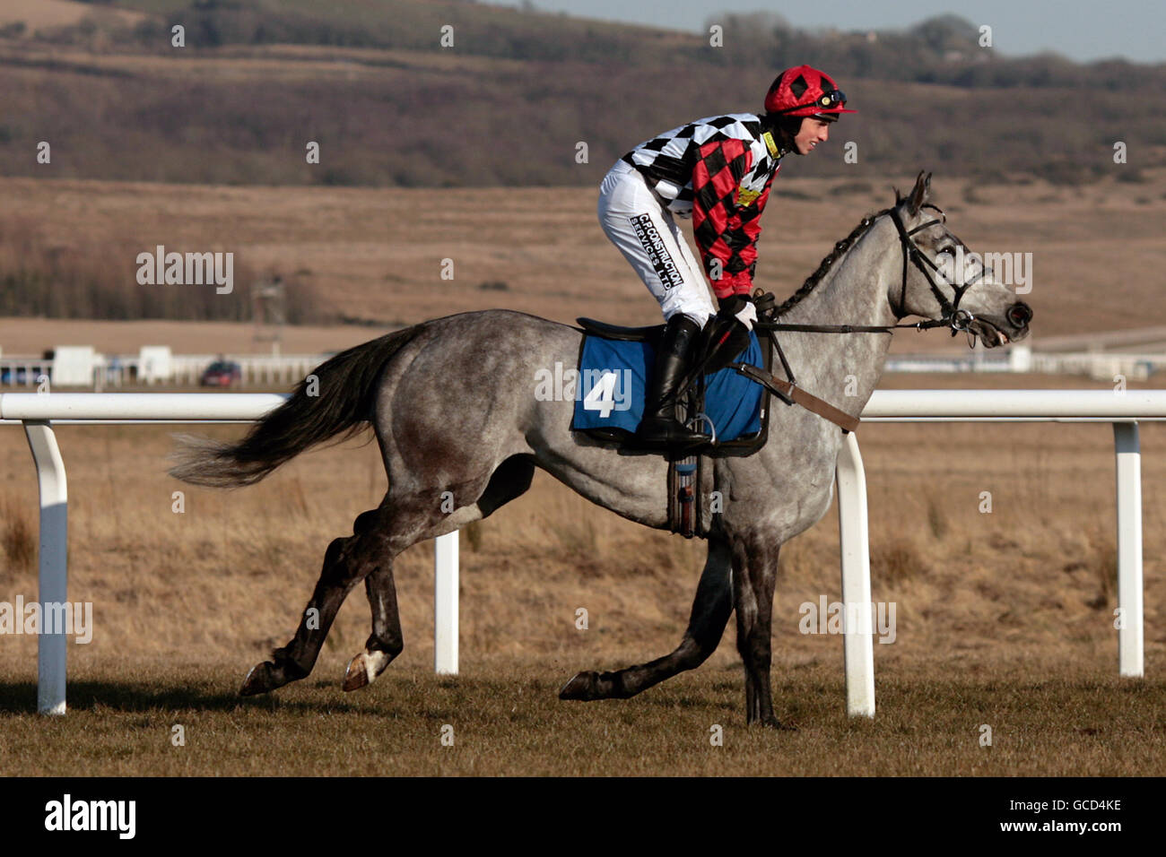 Pferderennen - Celtic Day - Ffos Las Racecourse. Der Jockey Dean Coleman von Finzi Contini tritt beim Handicap-Hürdenrennen des Best Western Diplomat Hotel auf Stockfoto