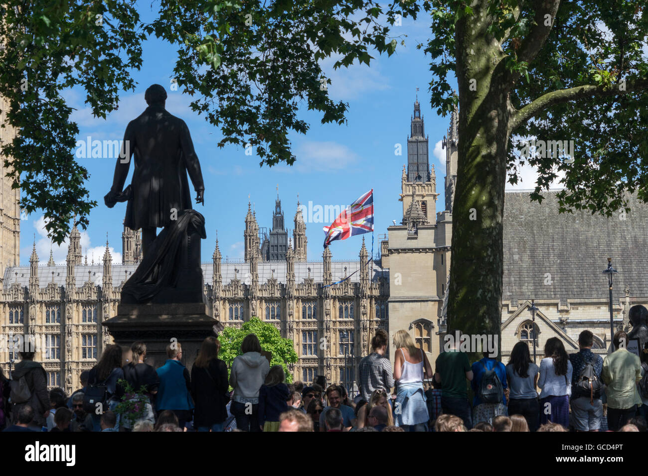 Brexit London Demo Protest vor dem Parlament London wehende Fahnen aus protest Stockfoto