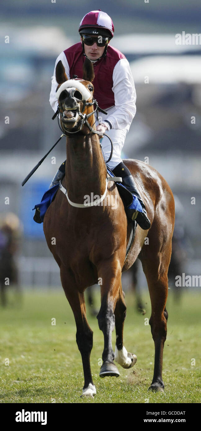 Jockey Declan McDonogh auf Crystal Gal nach dem Guineas Trial Stakes 1000 während des Guineas Trials Day 1000 und 2000 auf der Leopardstown Racecourse. Stockfoto