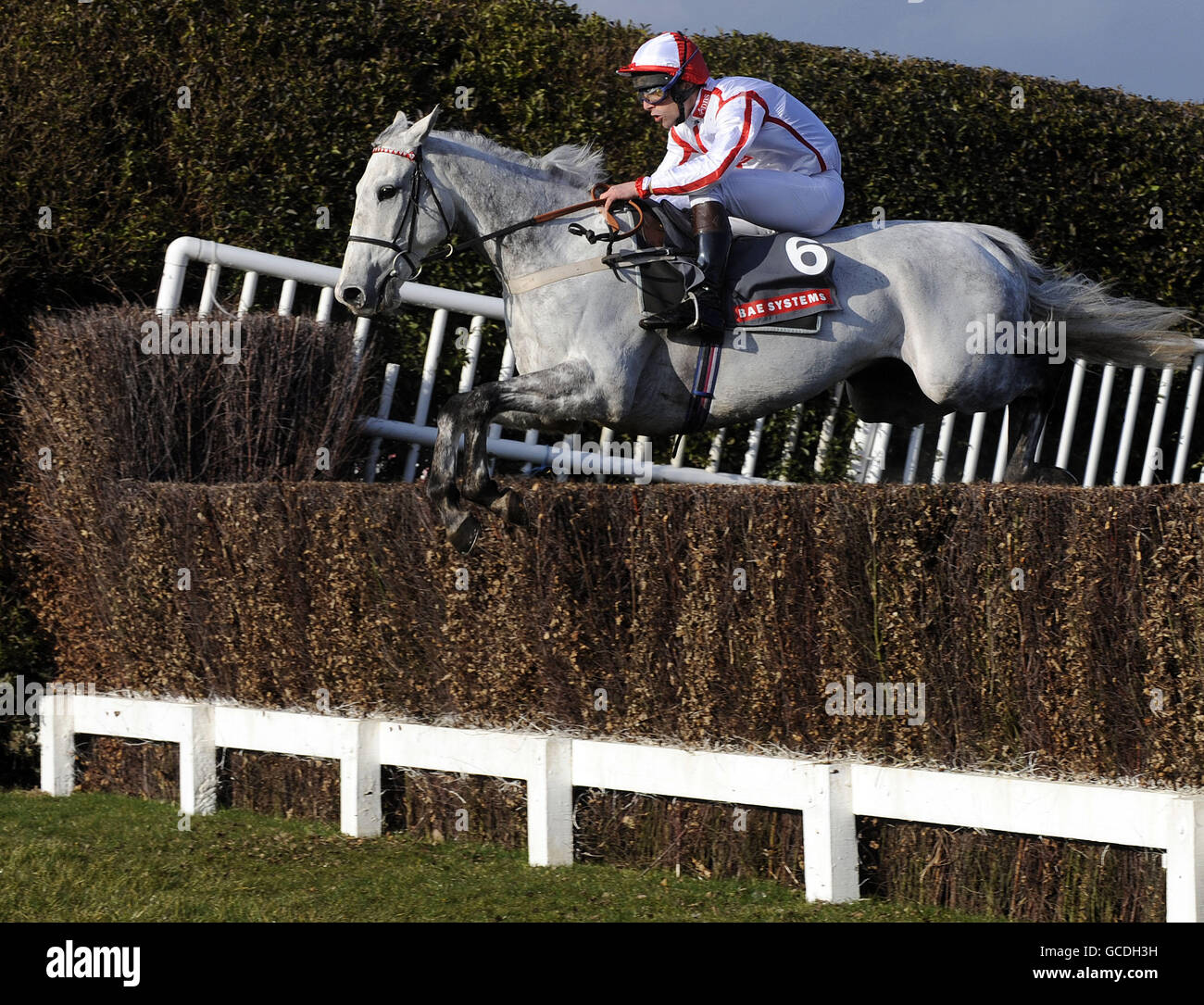 Pferderennen Sie - Grand militärische Gold Cup Day - Sandown Park Stockfoto