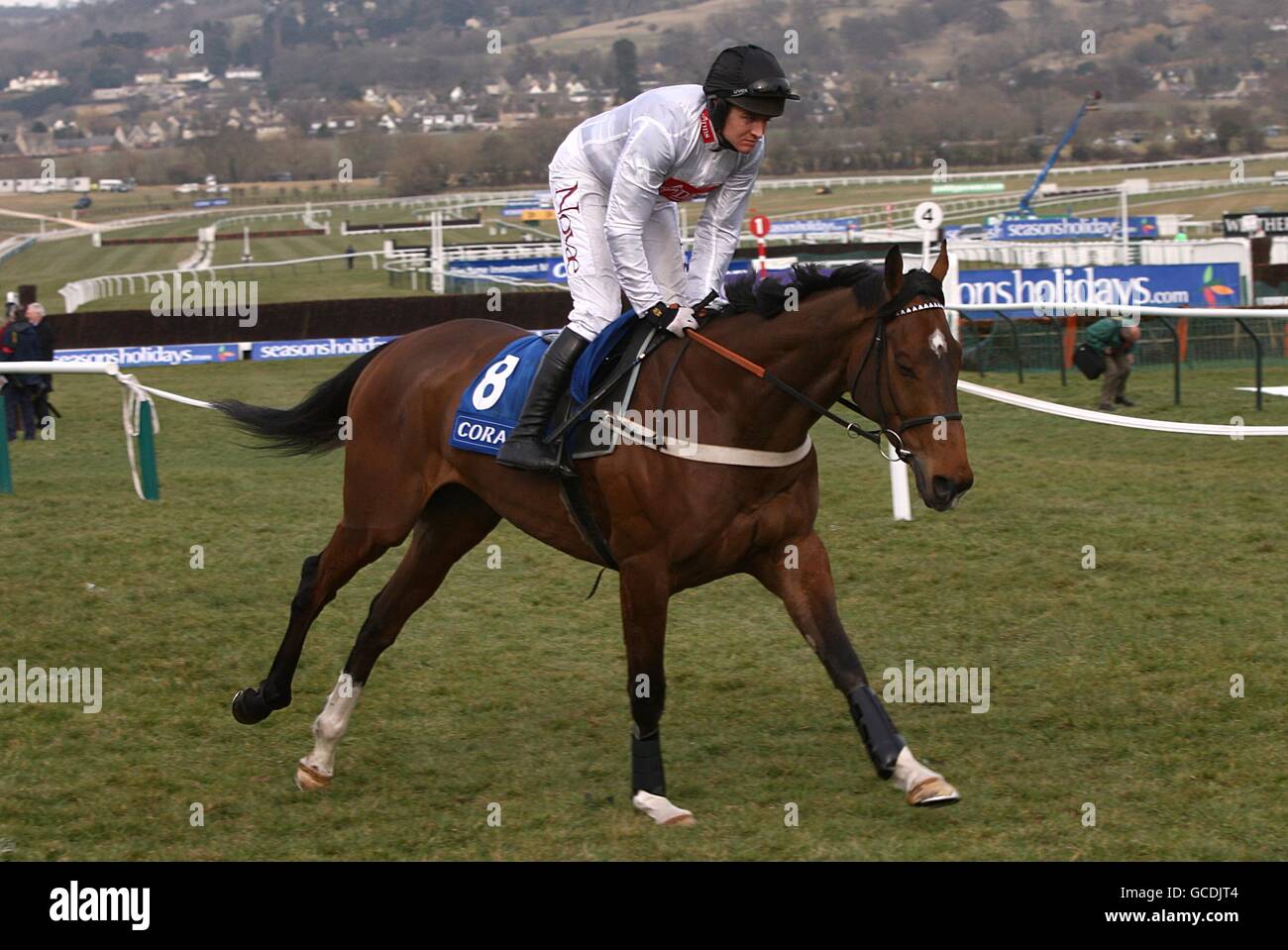Pferderennen - 2010 Cheltenham Festival - Tag Zwei. Spirit River, der von Bary Geraghty auf dem Weg zum Posting geritten wird Stockfoto